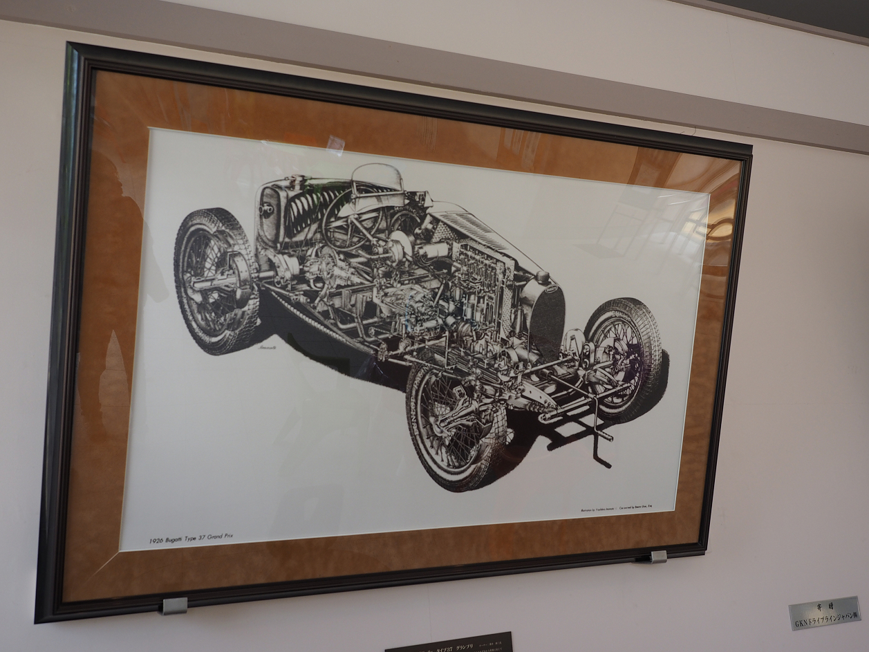 P4267165.jpg