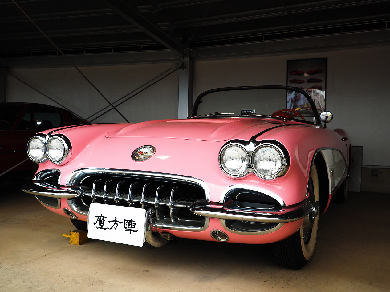 P4267197.jpg