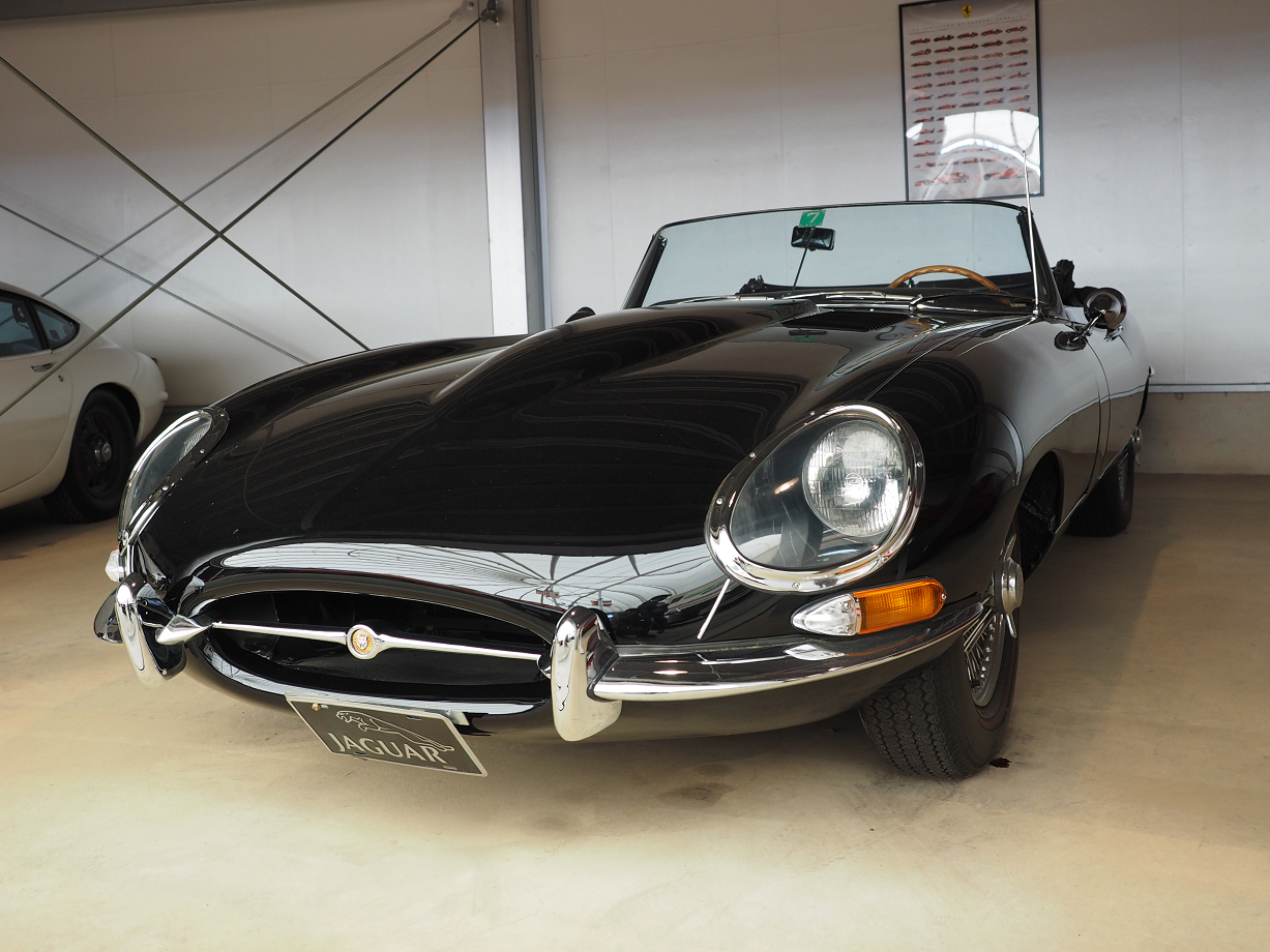 P4267280.jpg