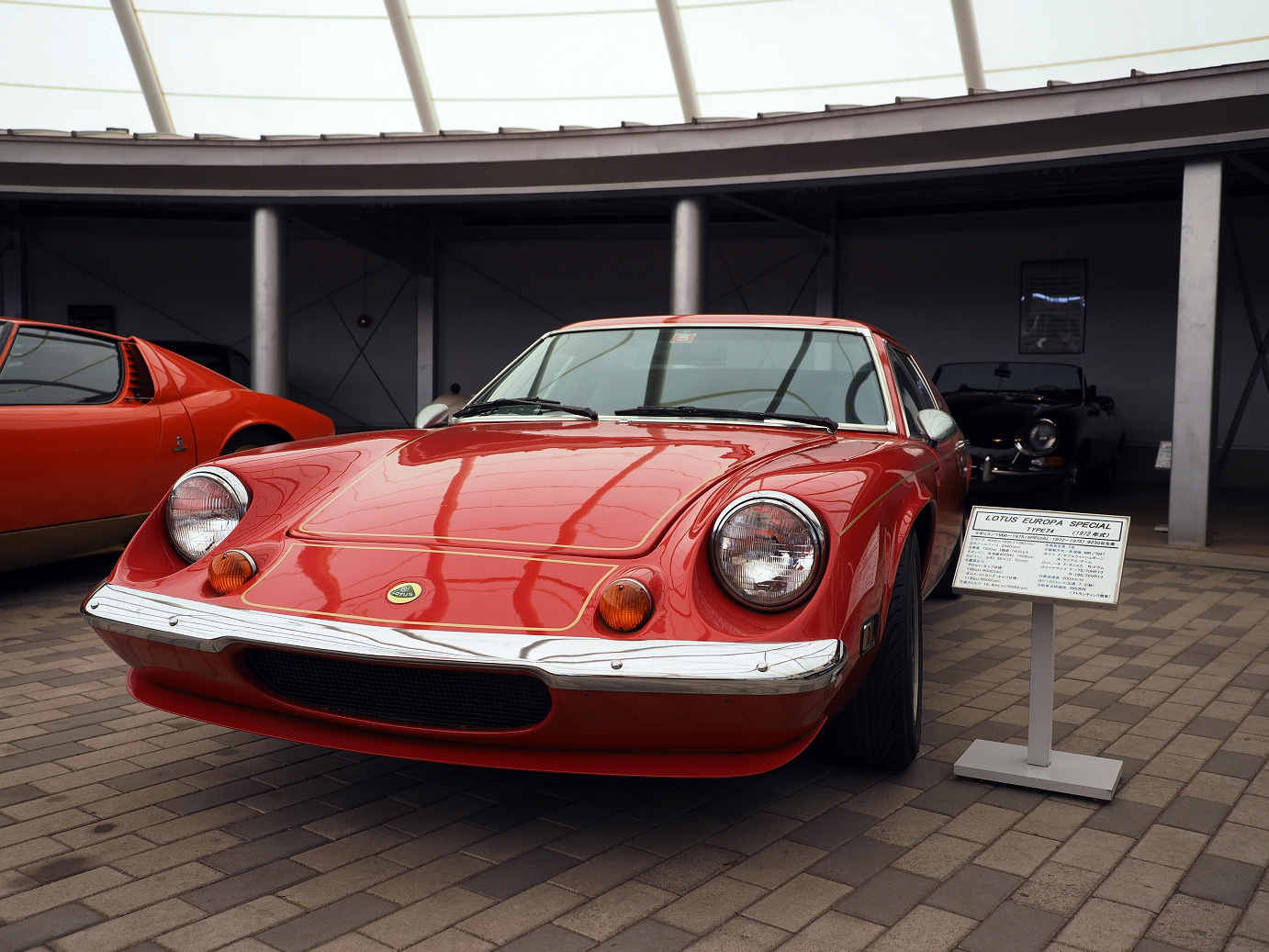 P4267295.jpg
