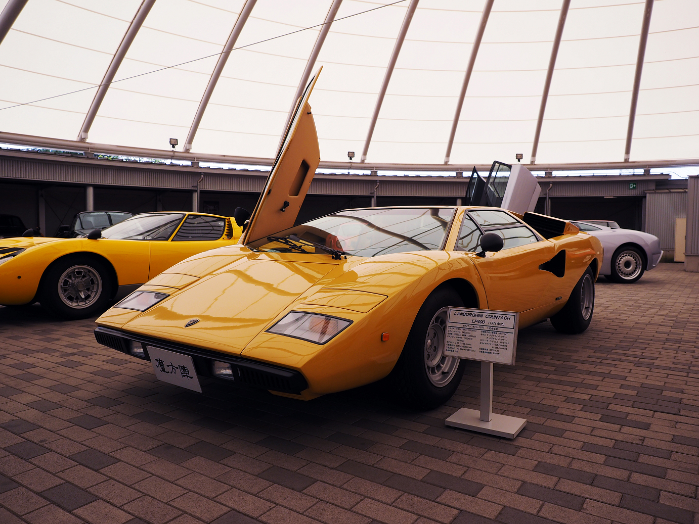 P4267341.jpg