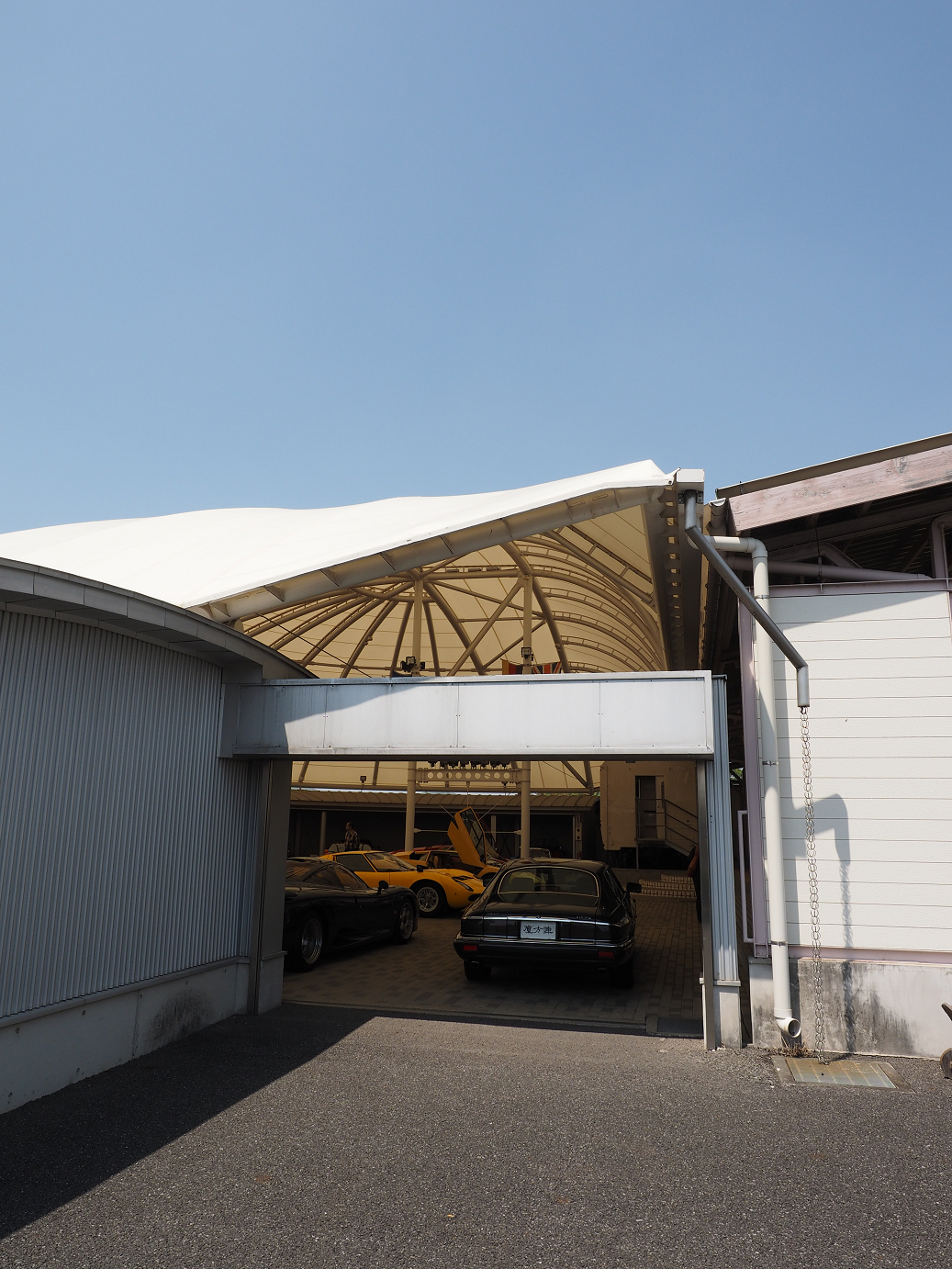 P4267373.jpg