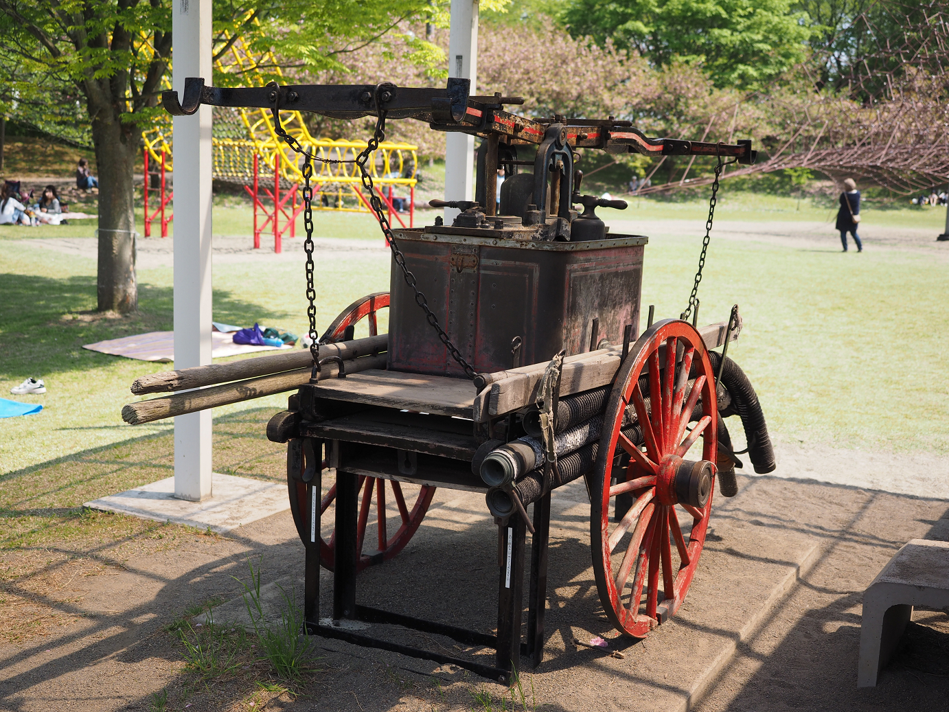 P4267427.jpg