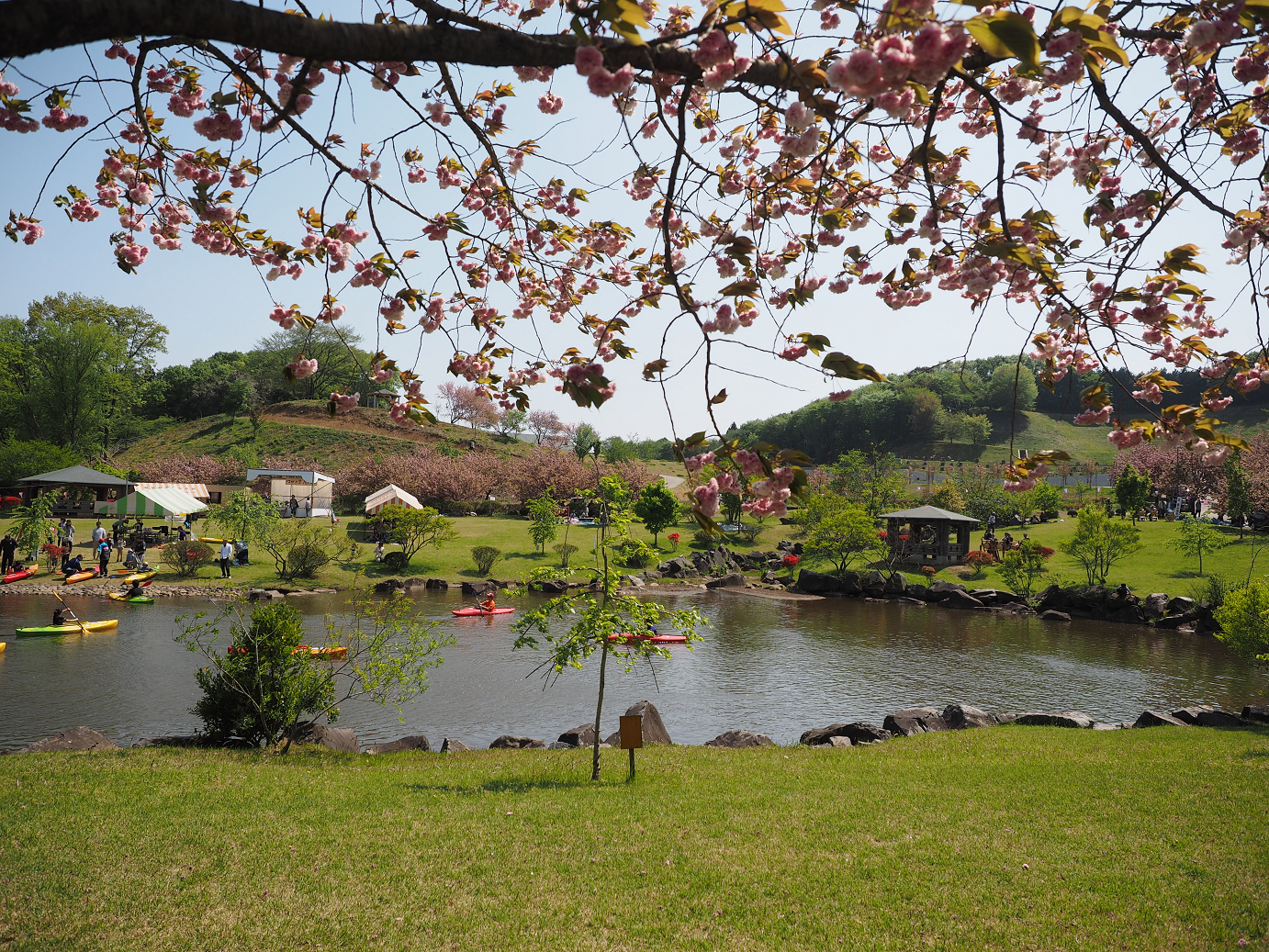 P4267453.jpg