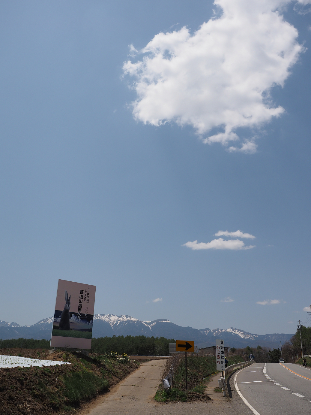 P5027490.jpg