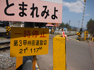 P5027520_thumb.png