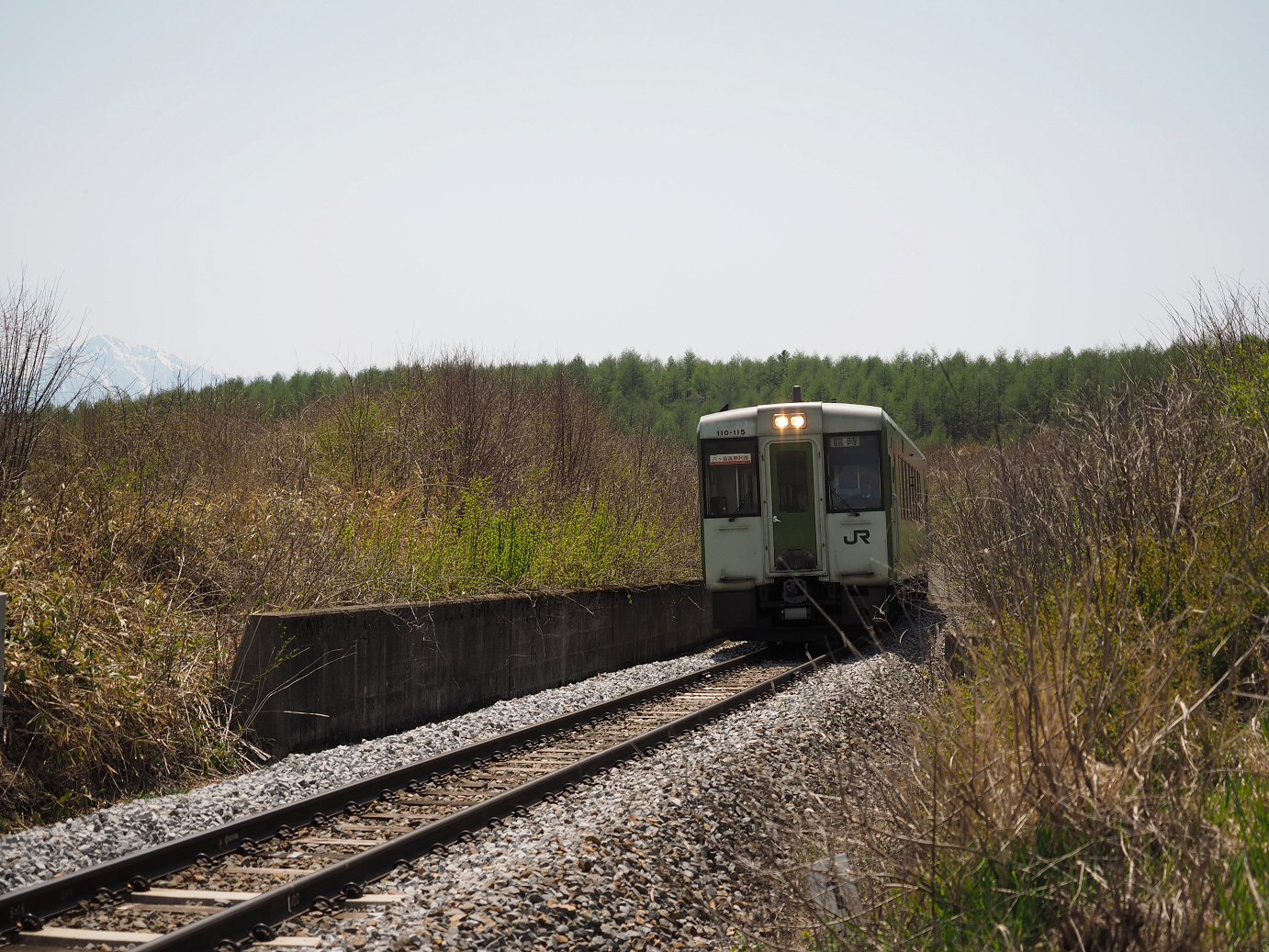 P5027540.jpg