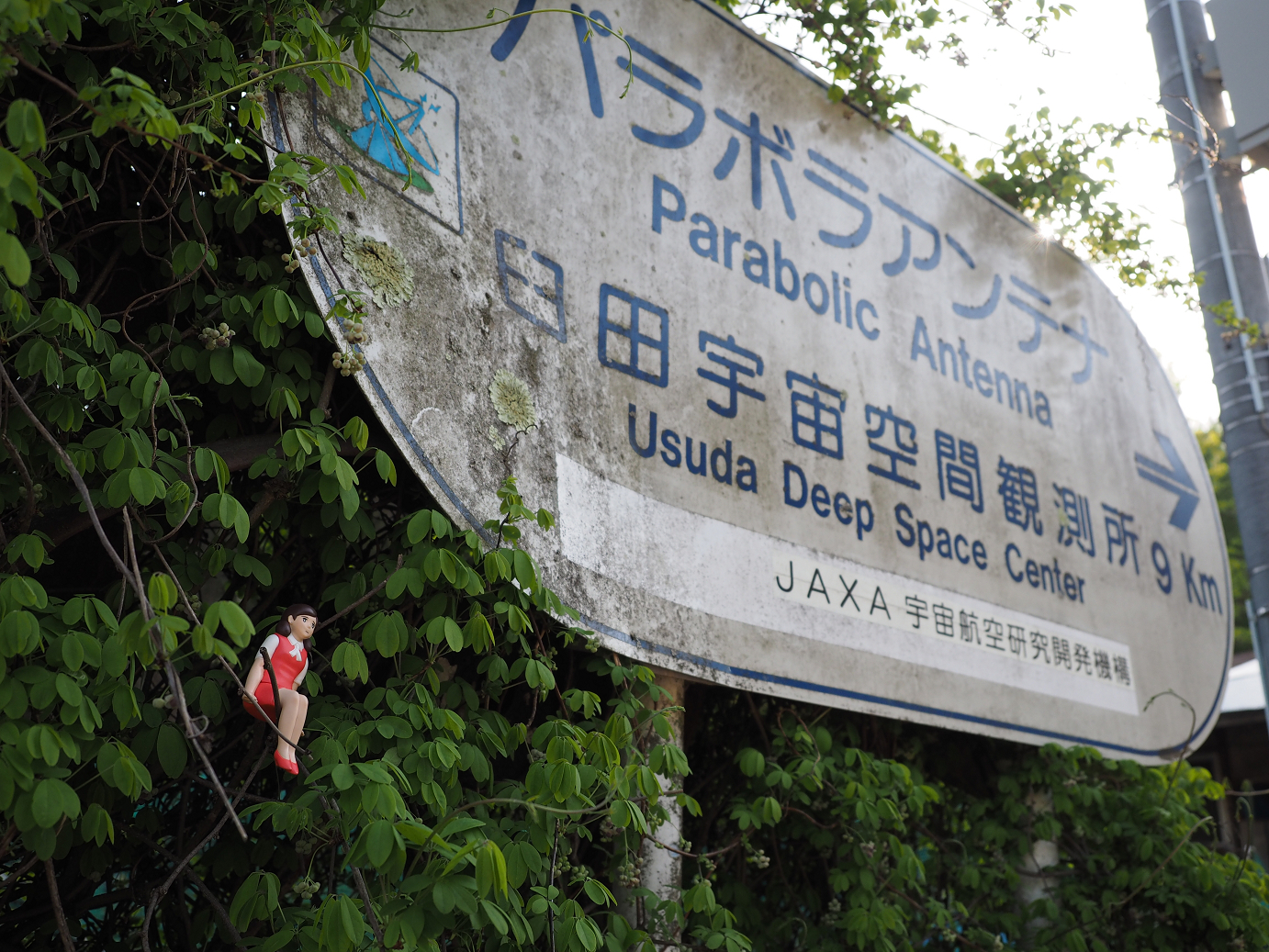 P5027687.jpg