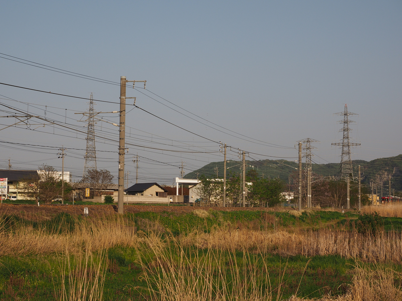 P5027703.jpg