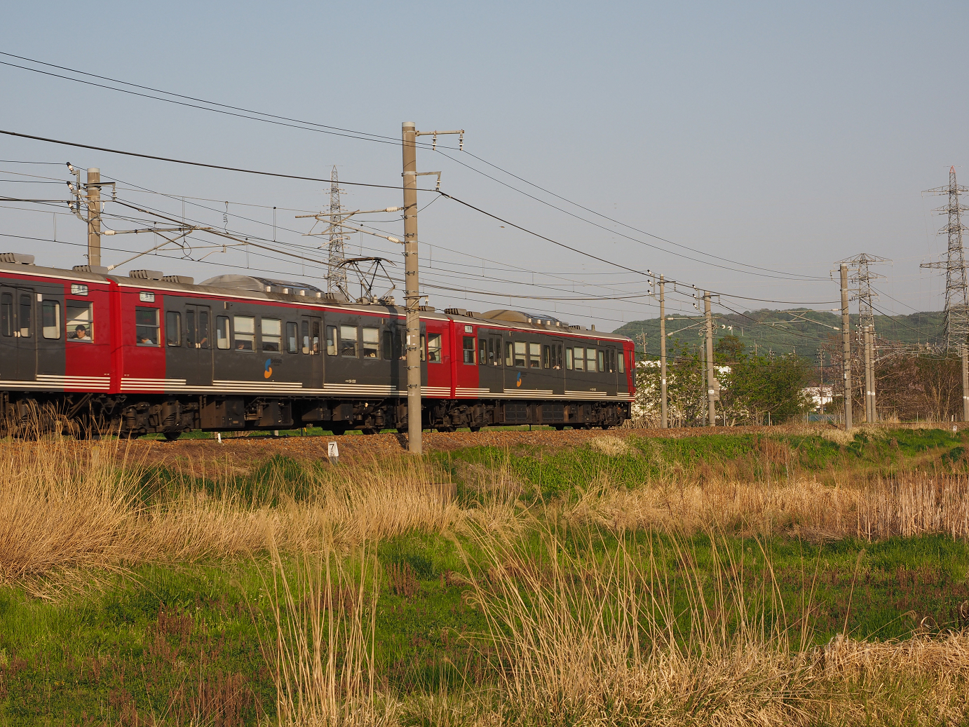 P5027715.jpg