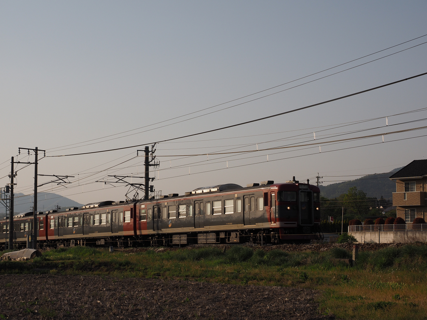 P5027723.jpg