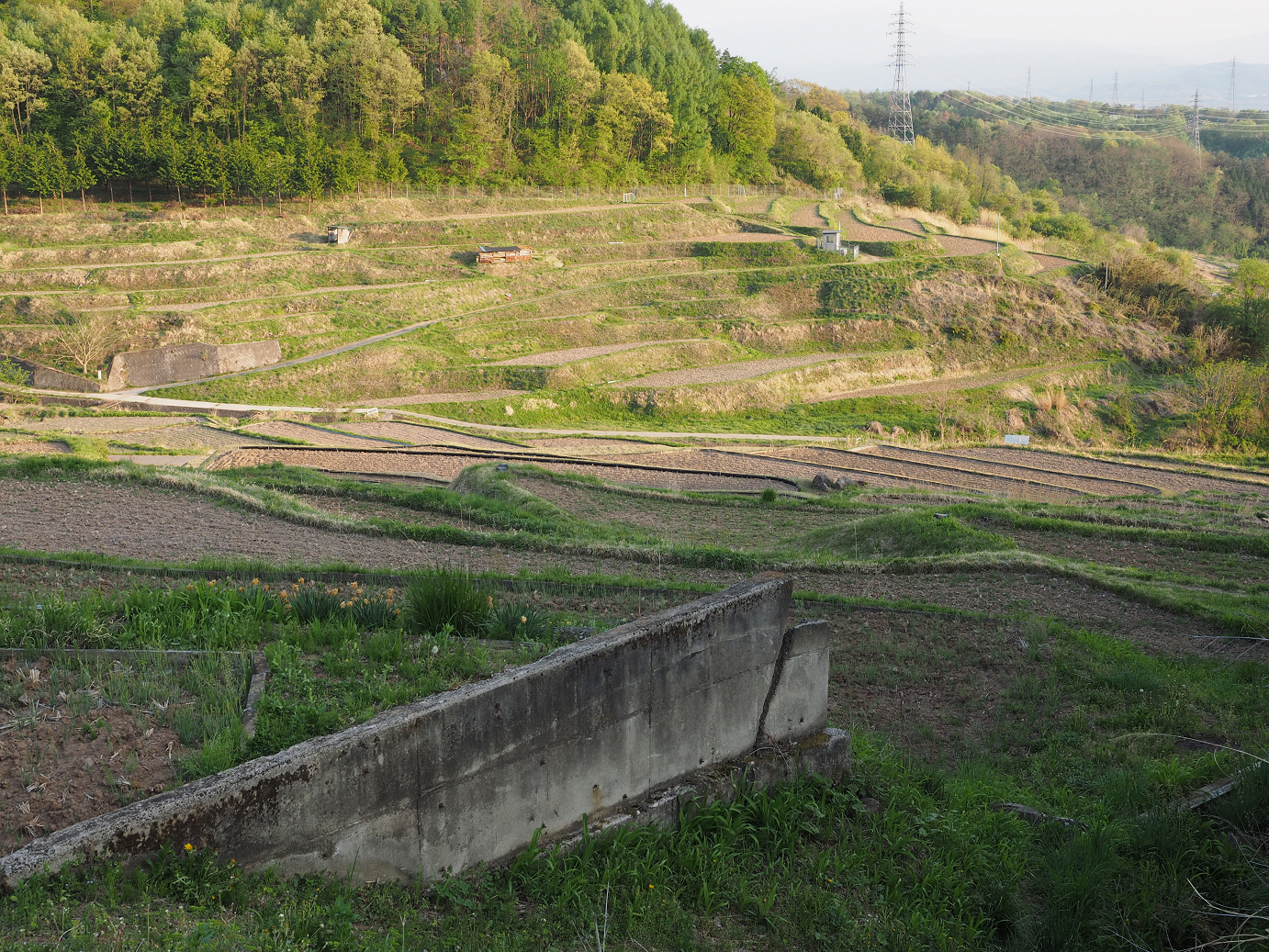 P5027726.jpg