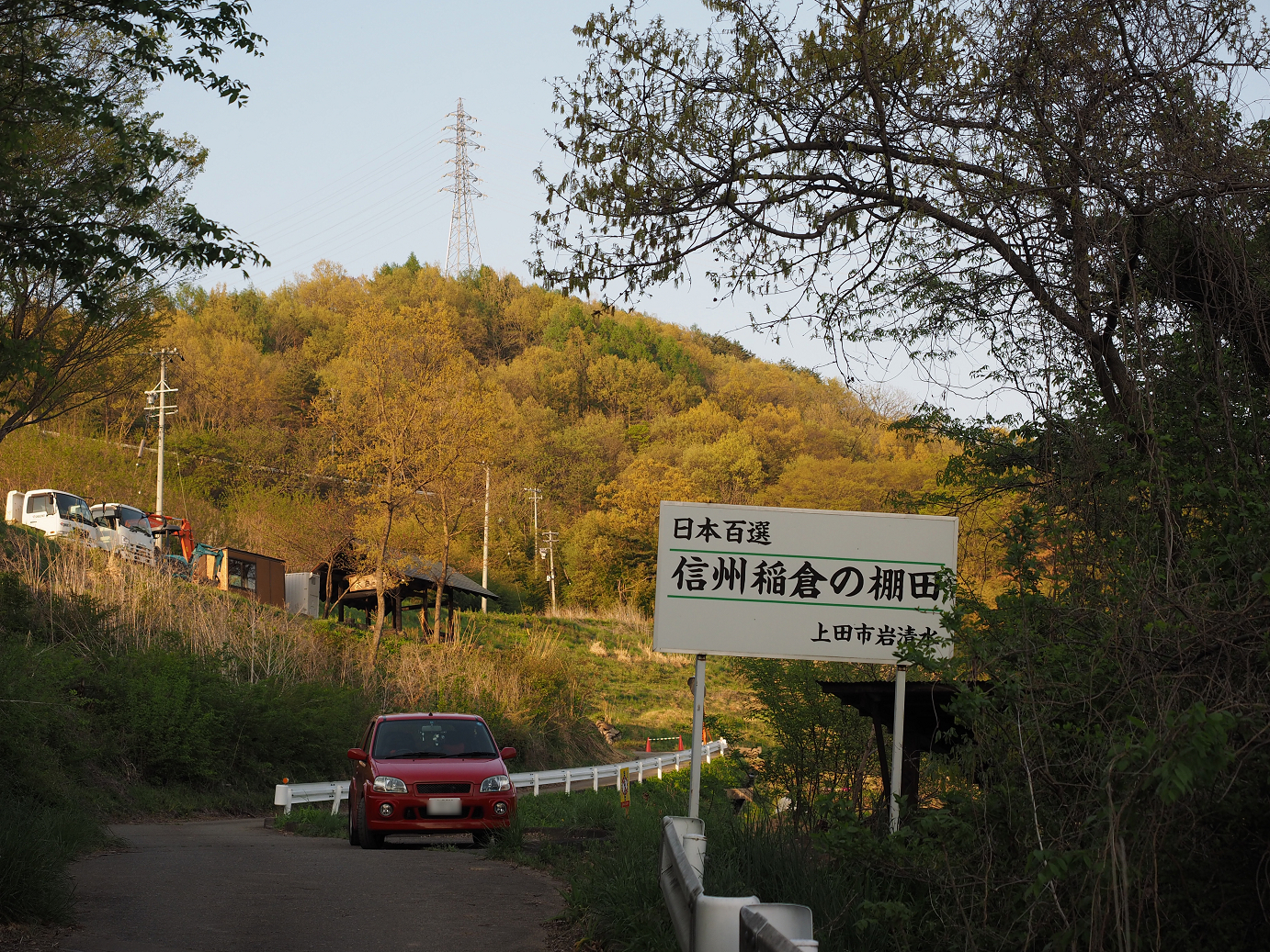 P5027734.jpg