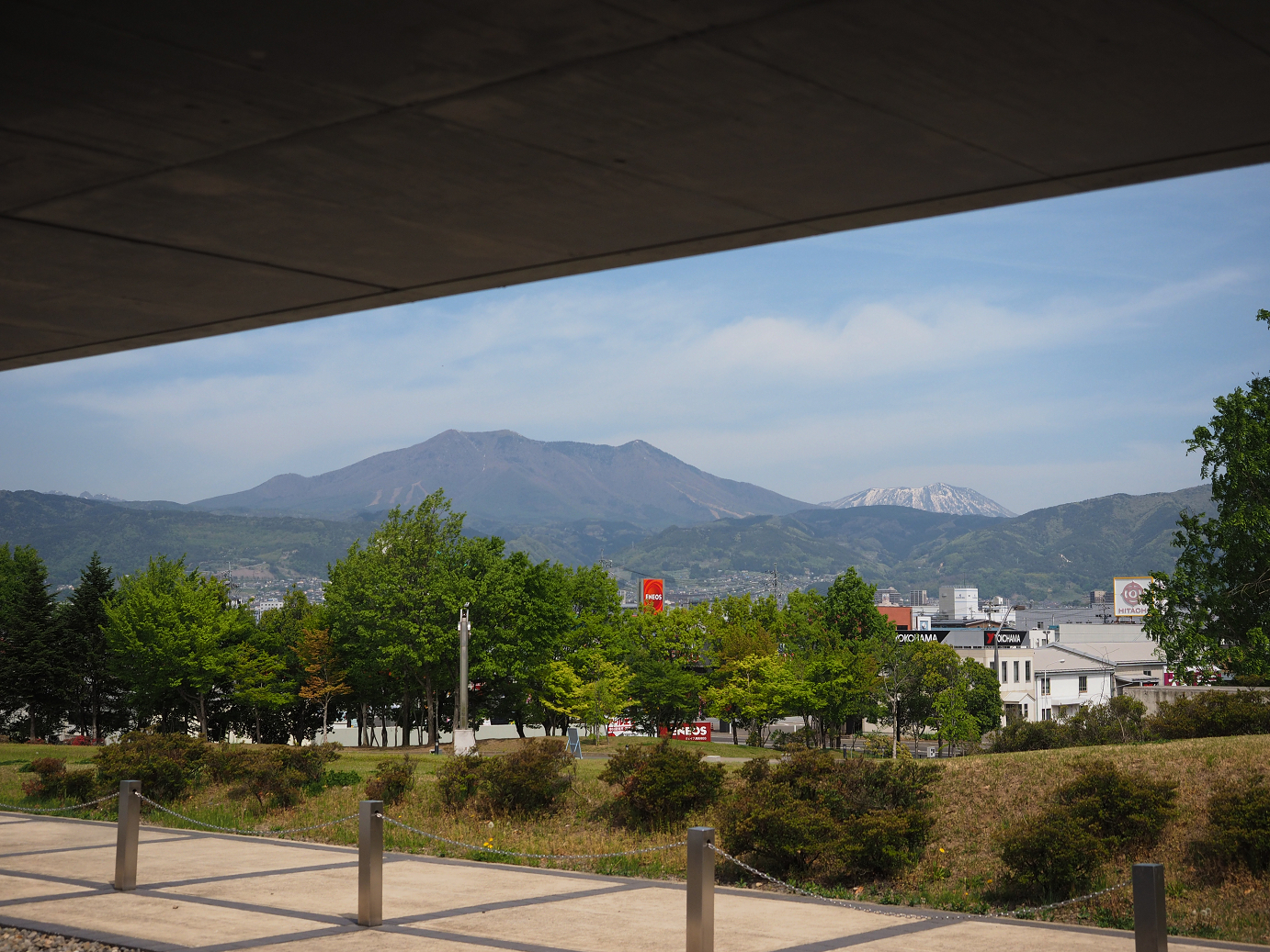 P5037779.jpg