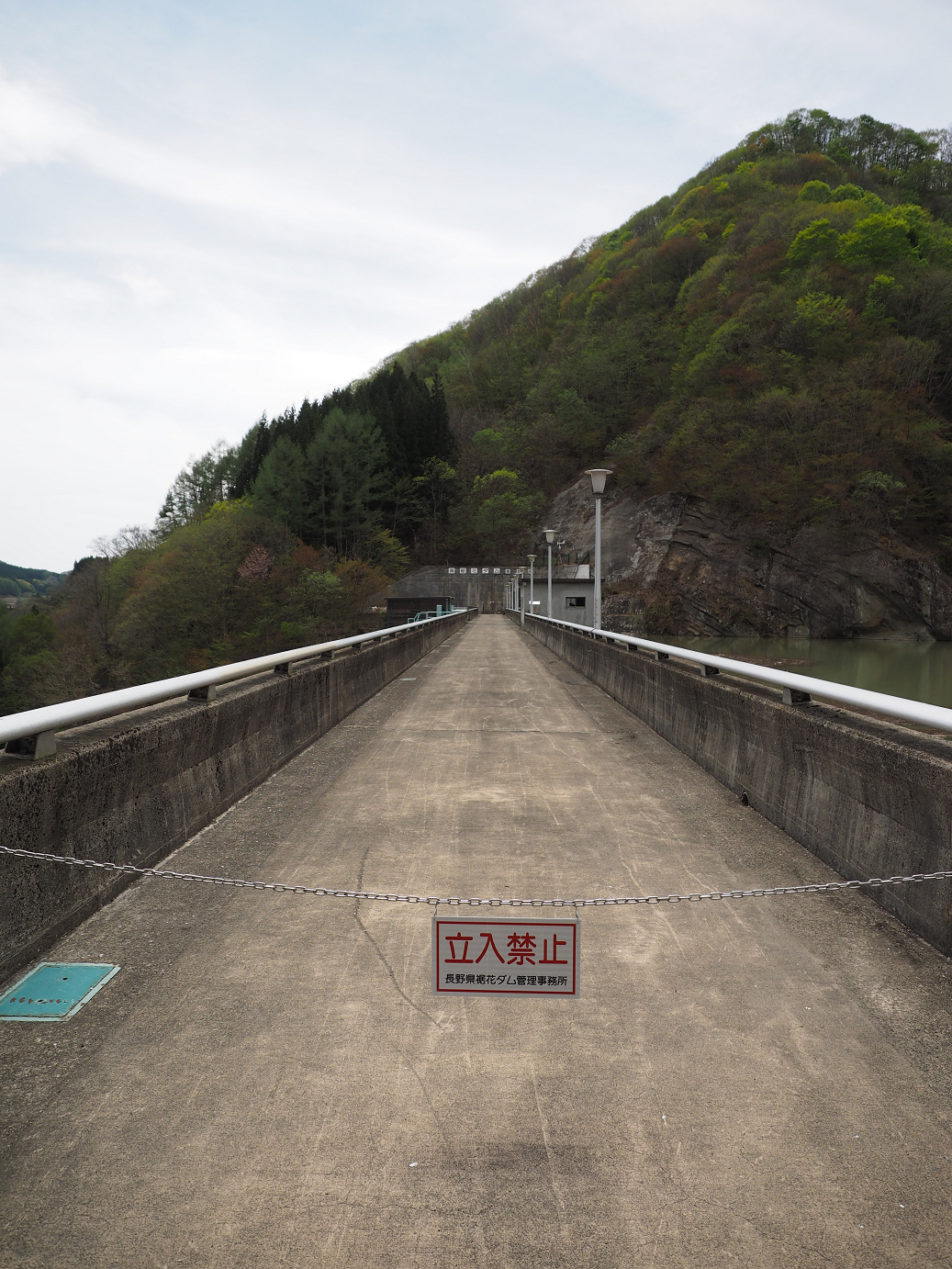 P5037980.jpg