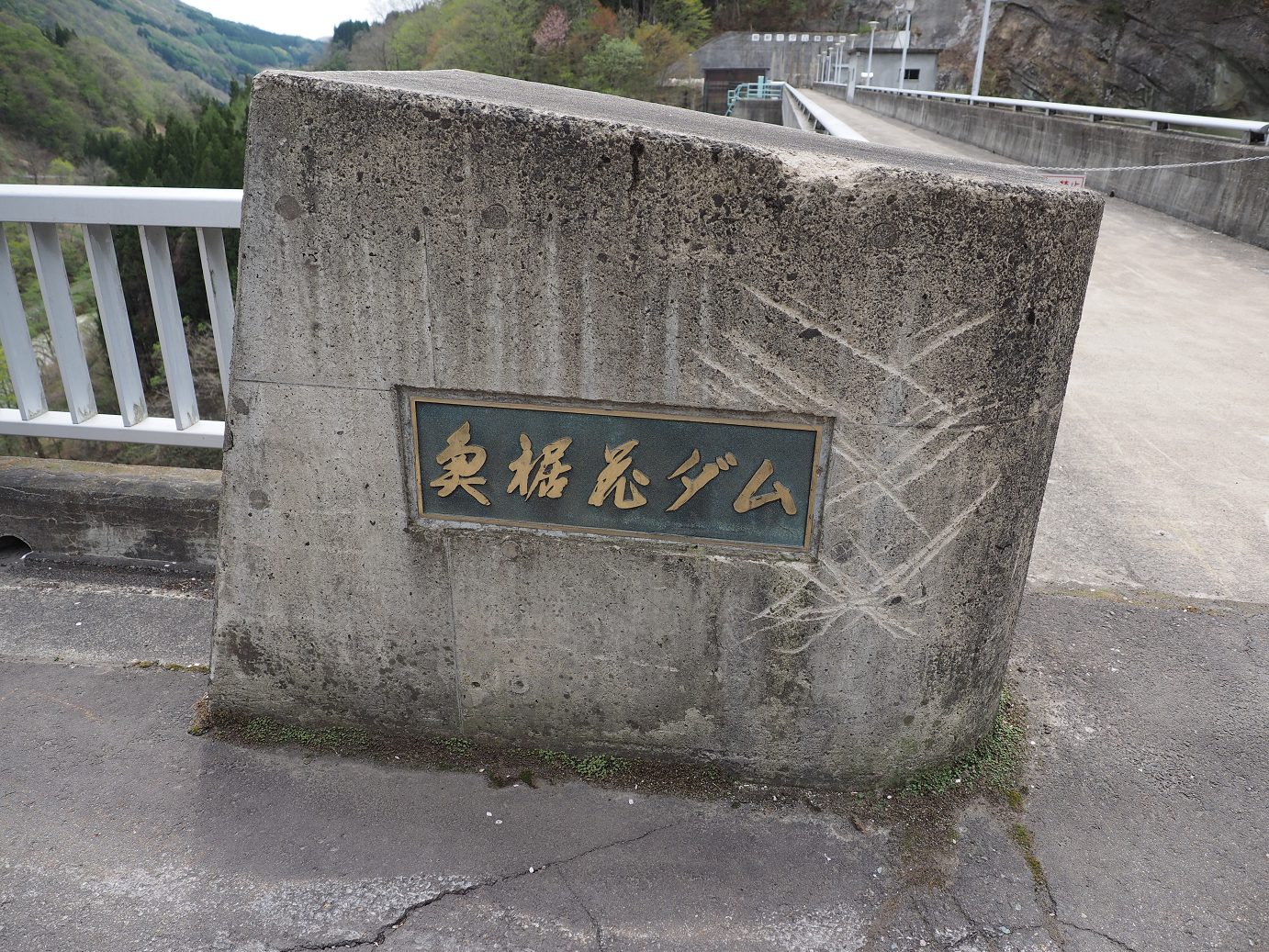 P5037985.jpg