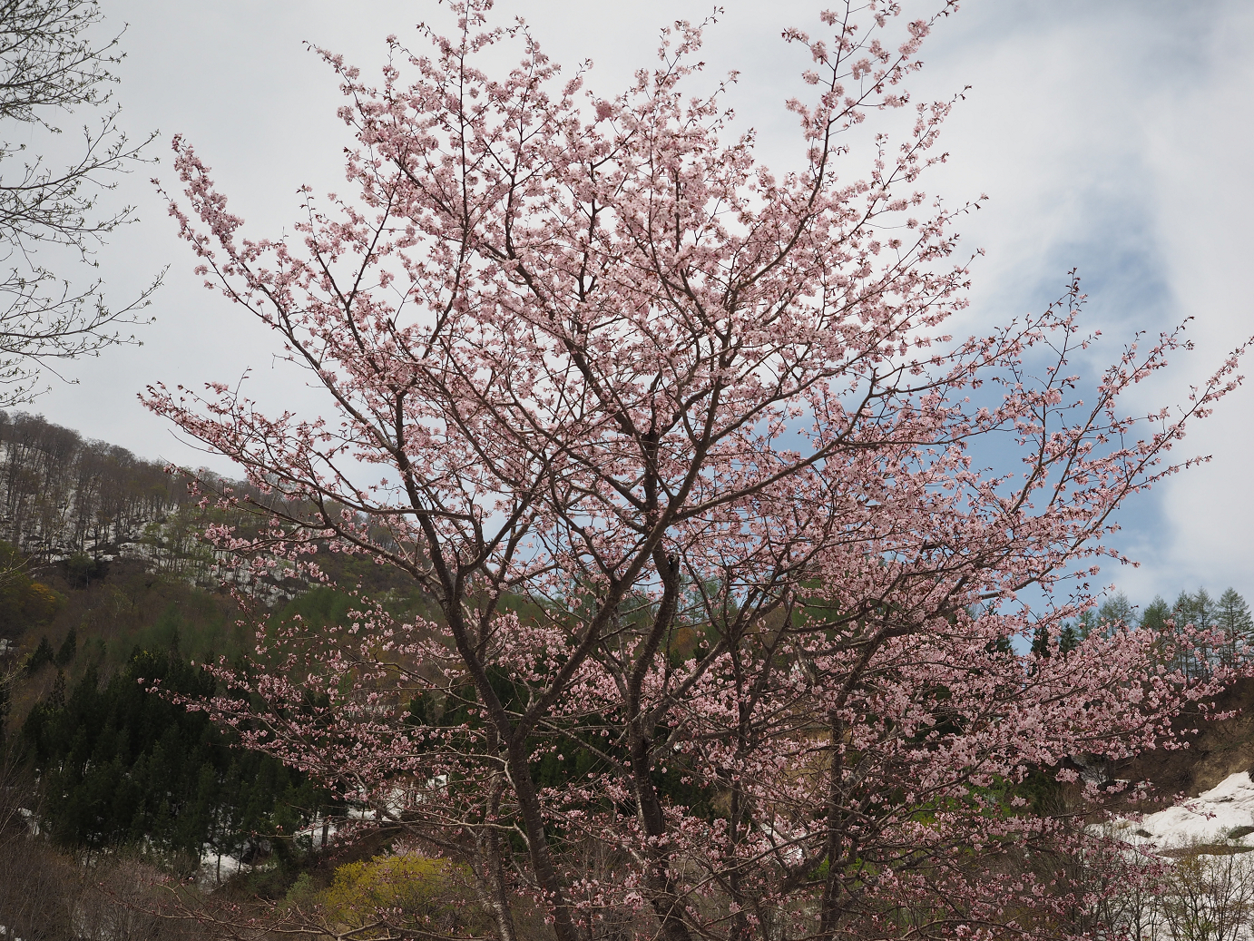 P5038010.jpg