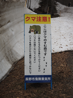 P5038045_thumb.png