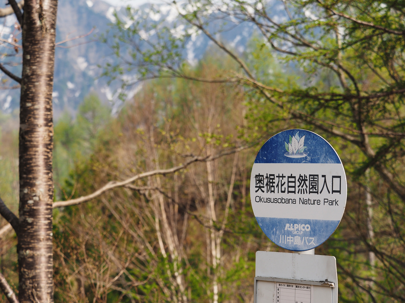 P5038162.jpg