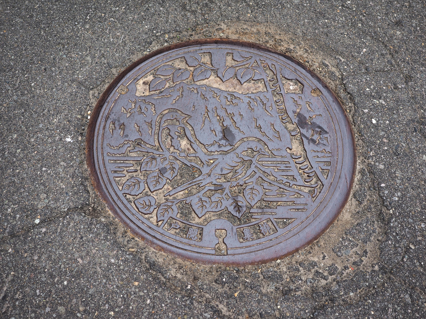P5038191.jpg