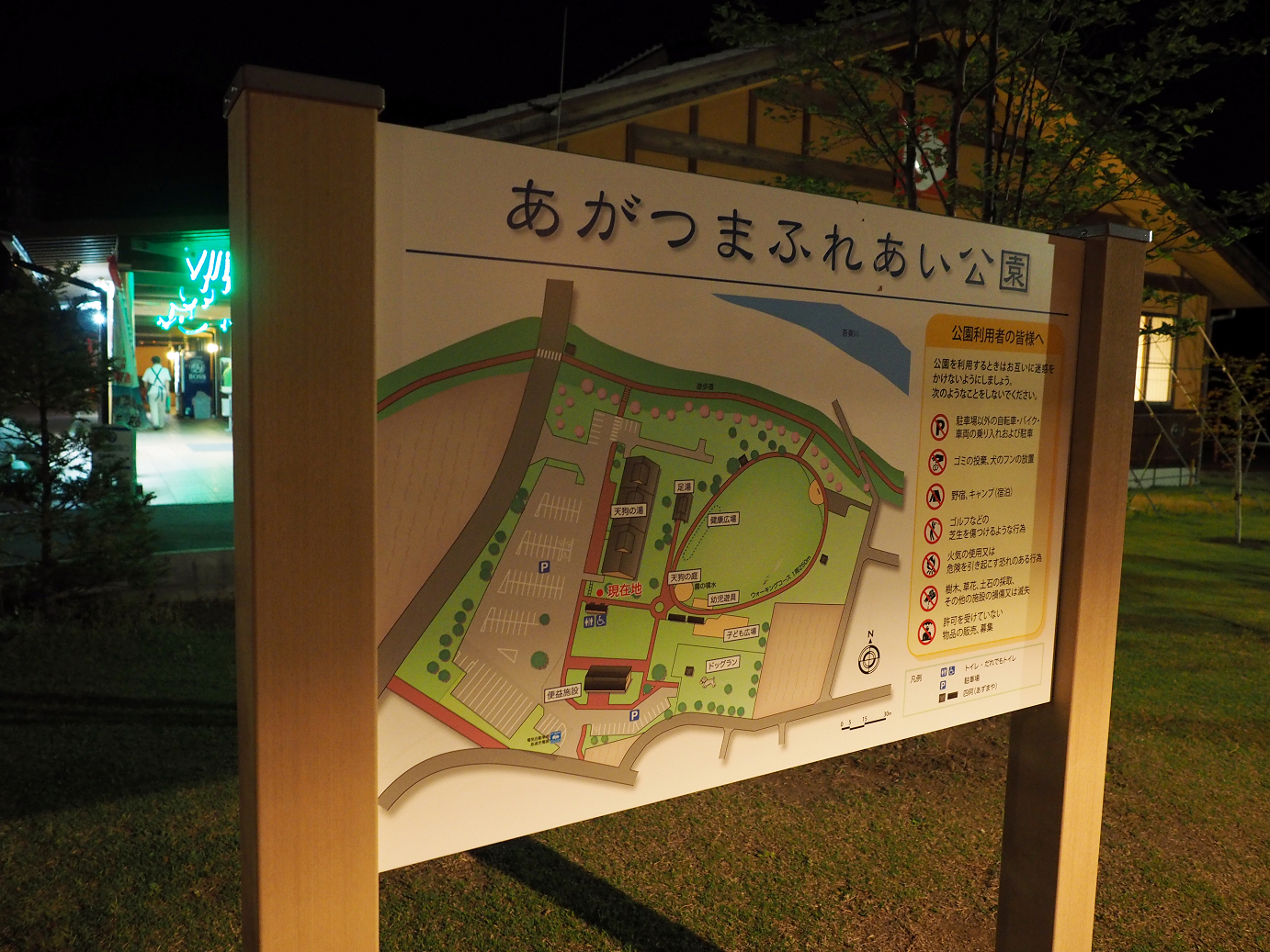P5038229.jpg