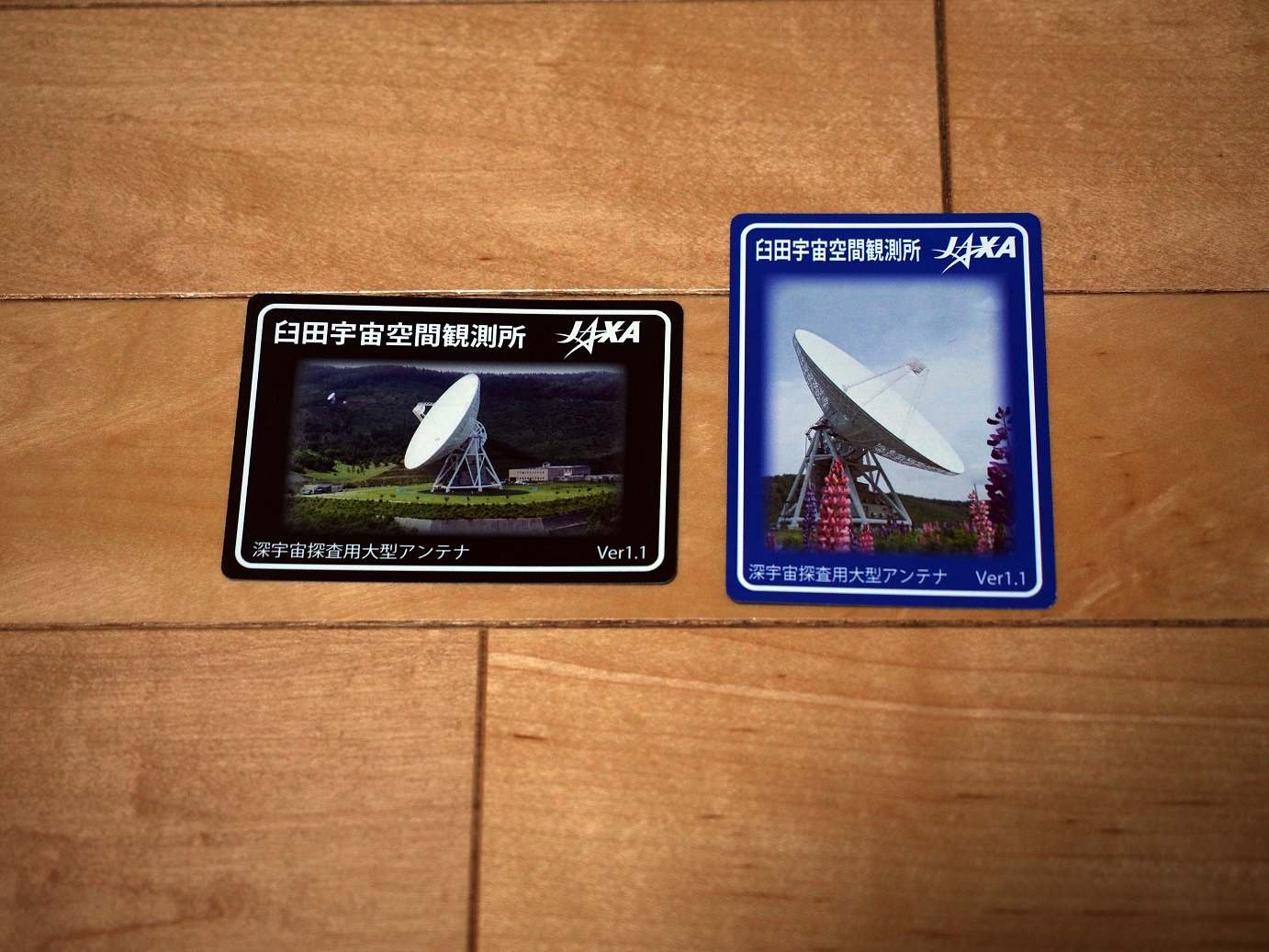P5038238.jpg