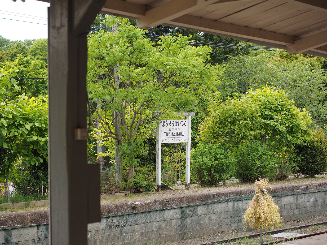 P5058328.jpg