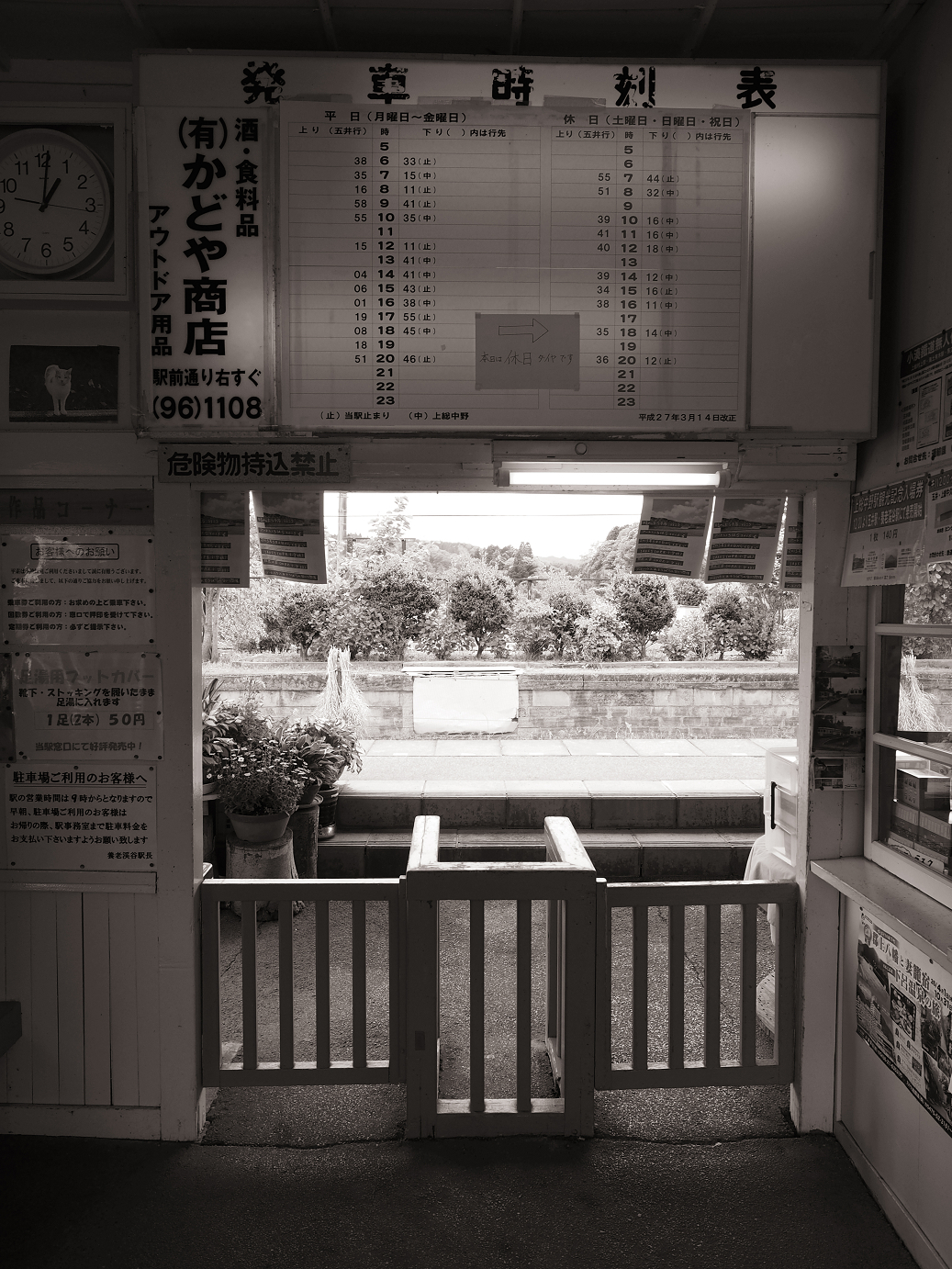 P5058346.jpg