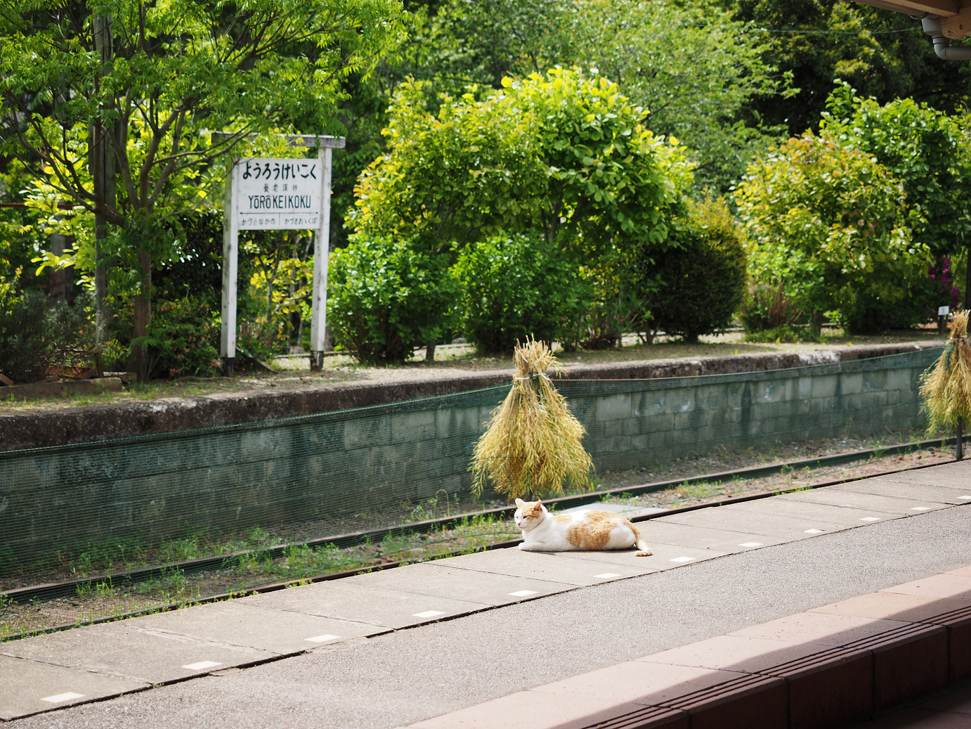 P5058360.jpg