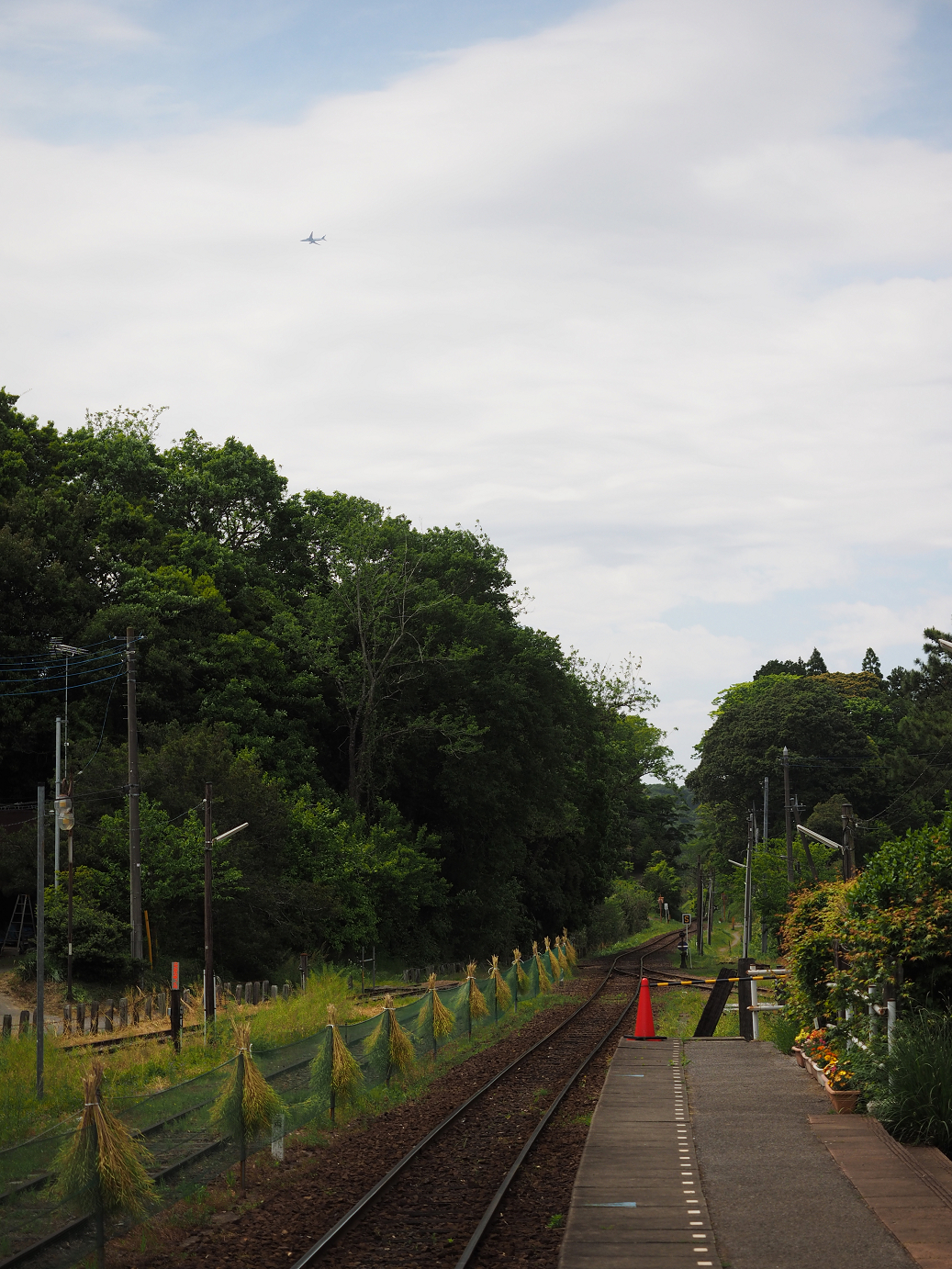 P5058364.jpg