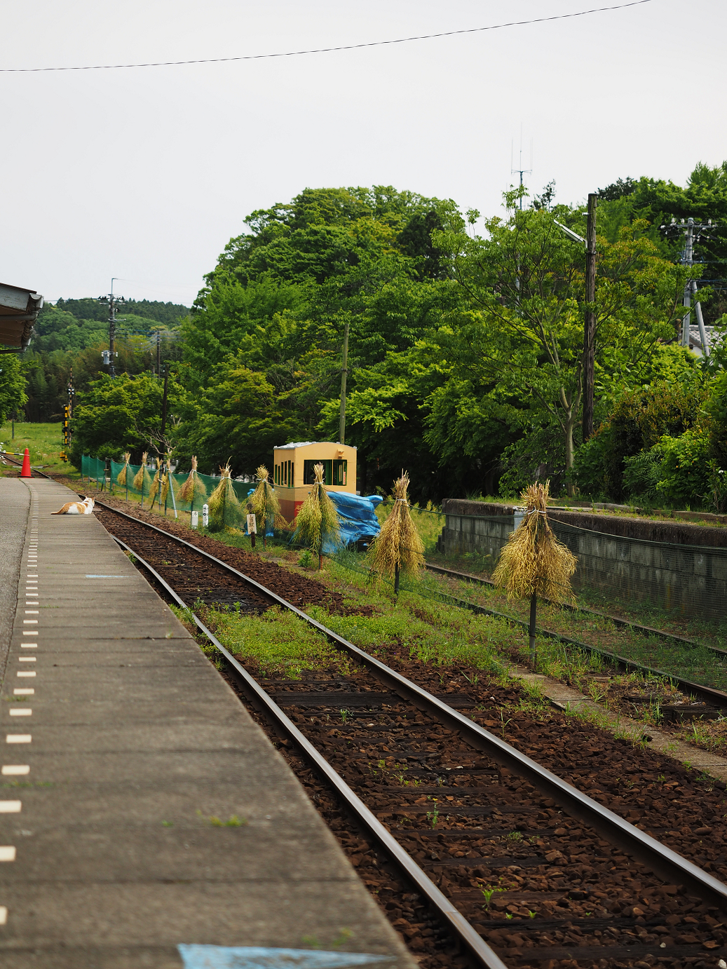 P5058366.jpg