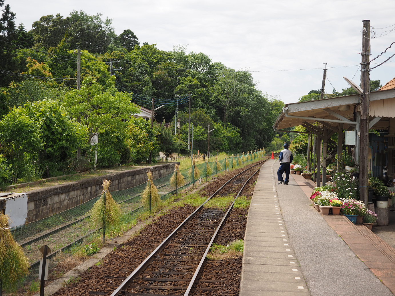 P5058376.jpg