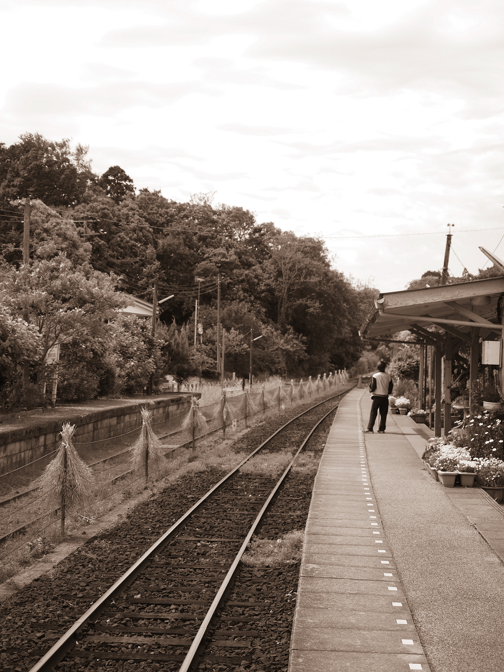 P5058377.jpg