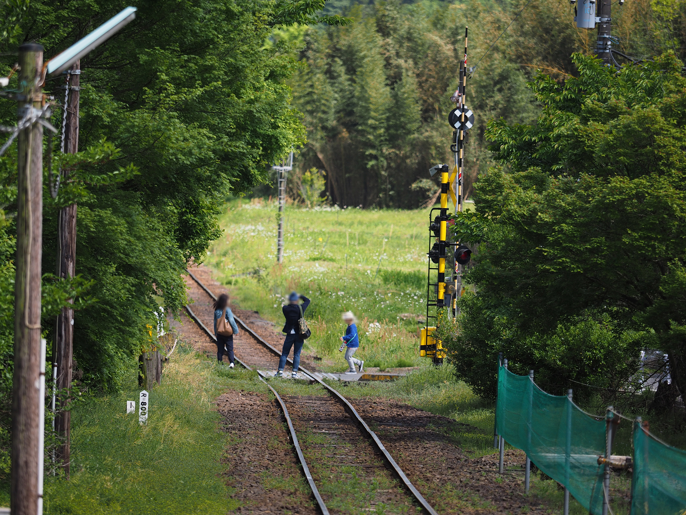 P5058405.jpg