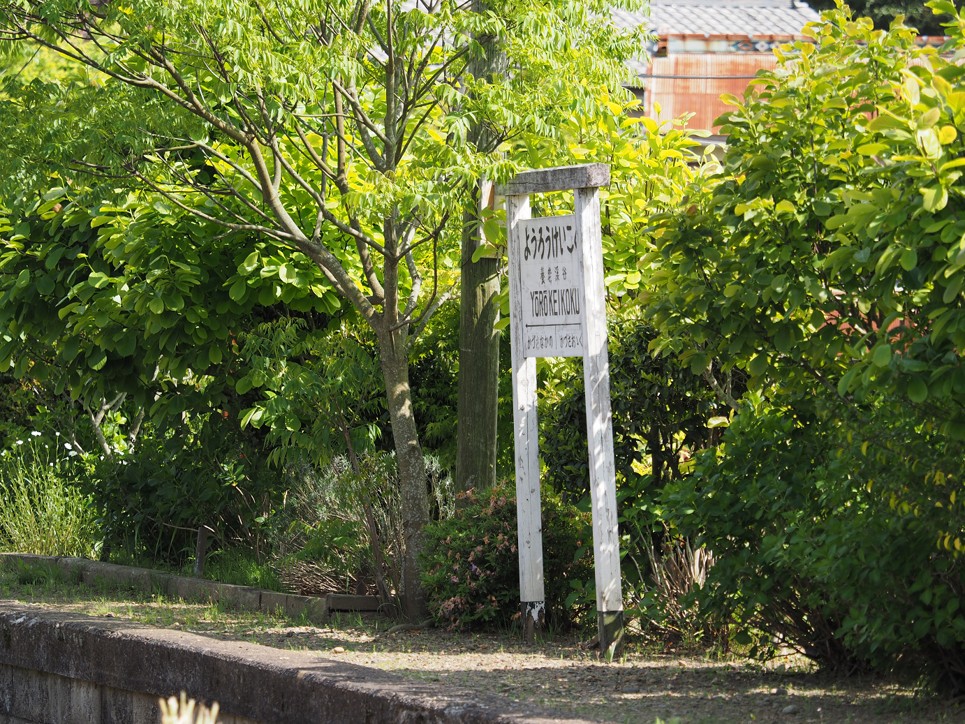P5058414.jpg