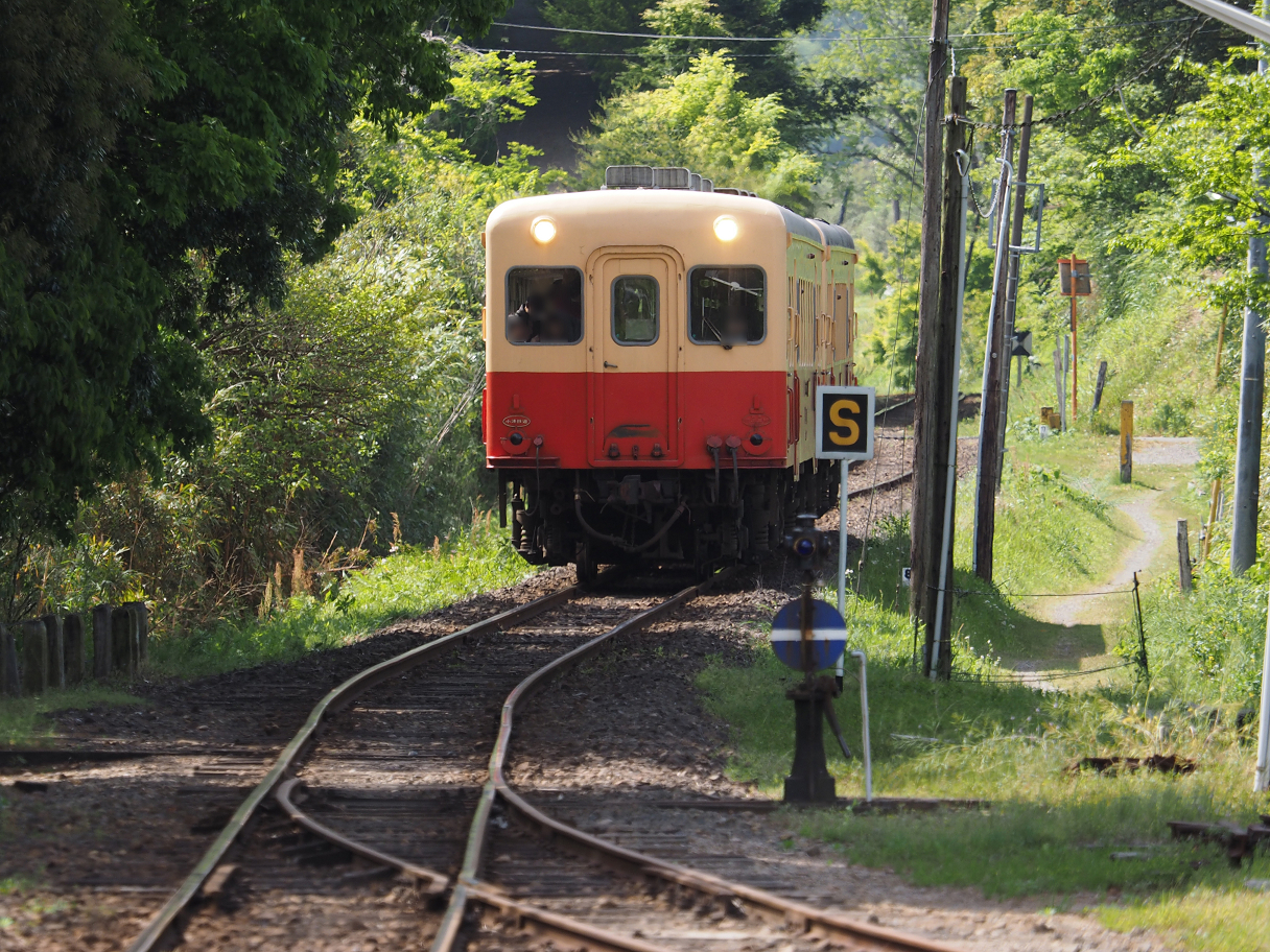P5058425.jpg