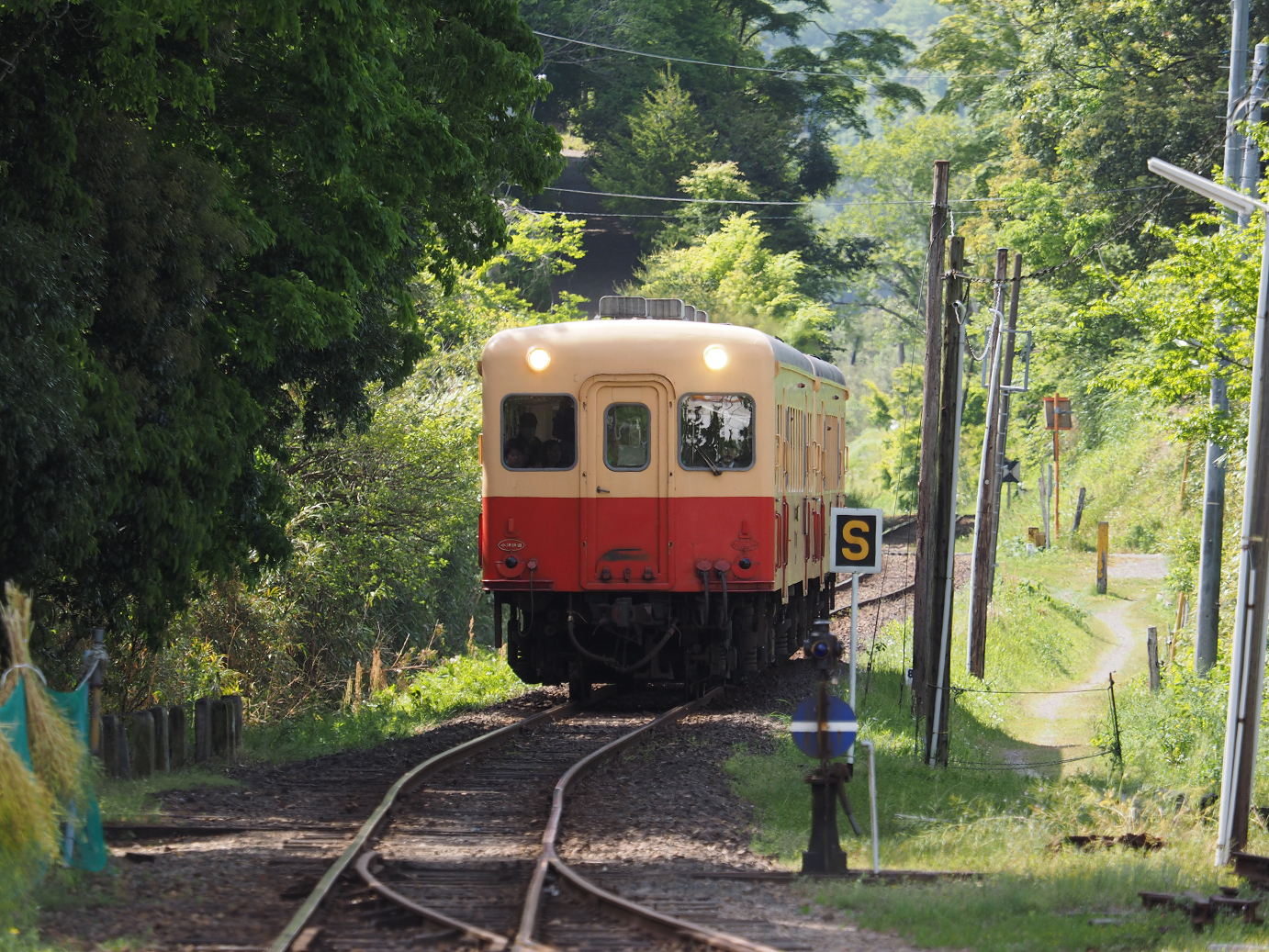 P5058426.jpg