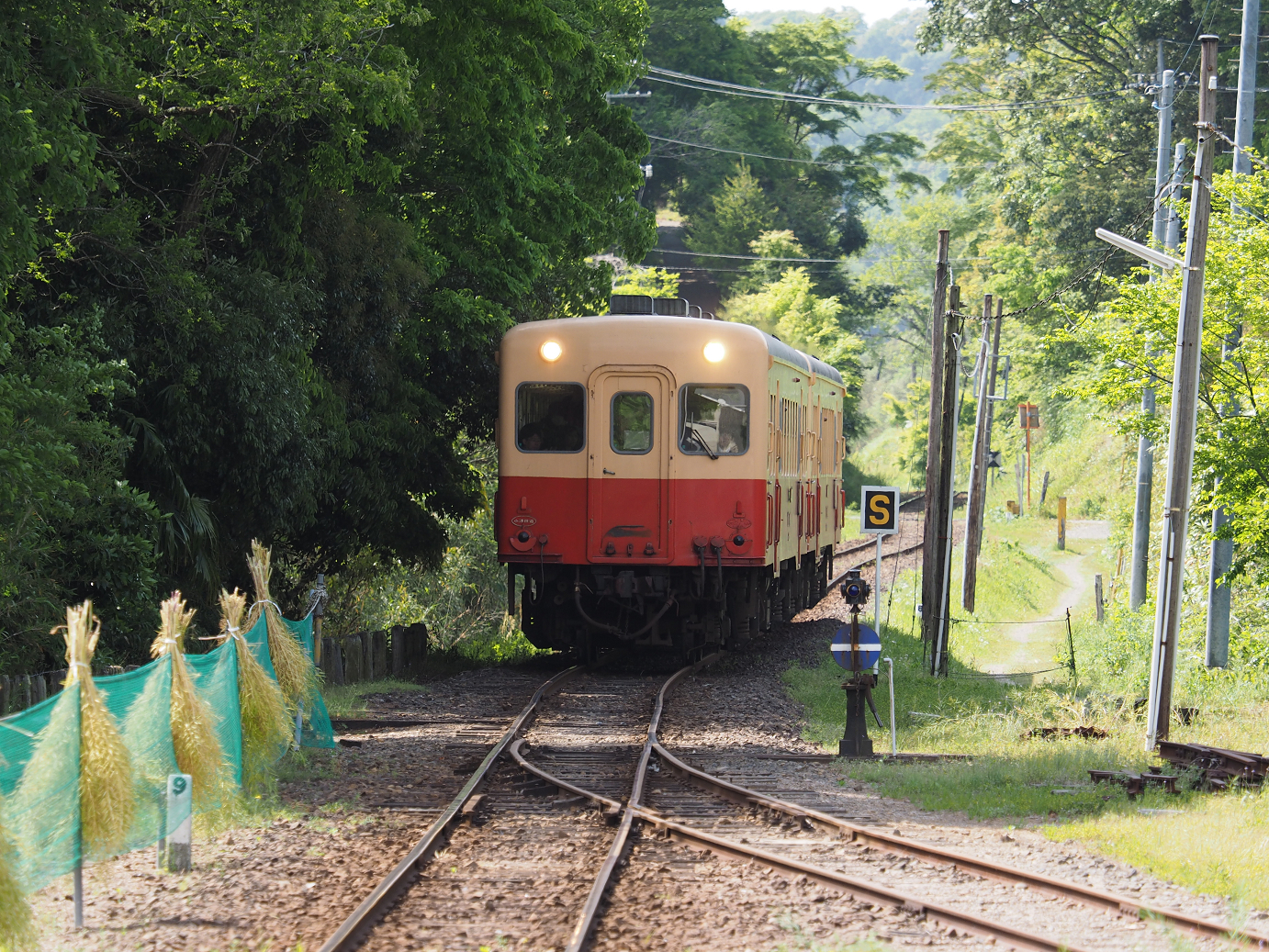 P5058428.jpg