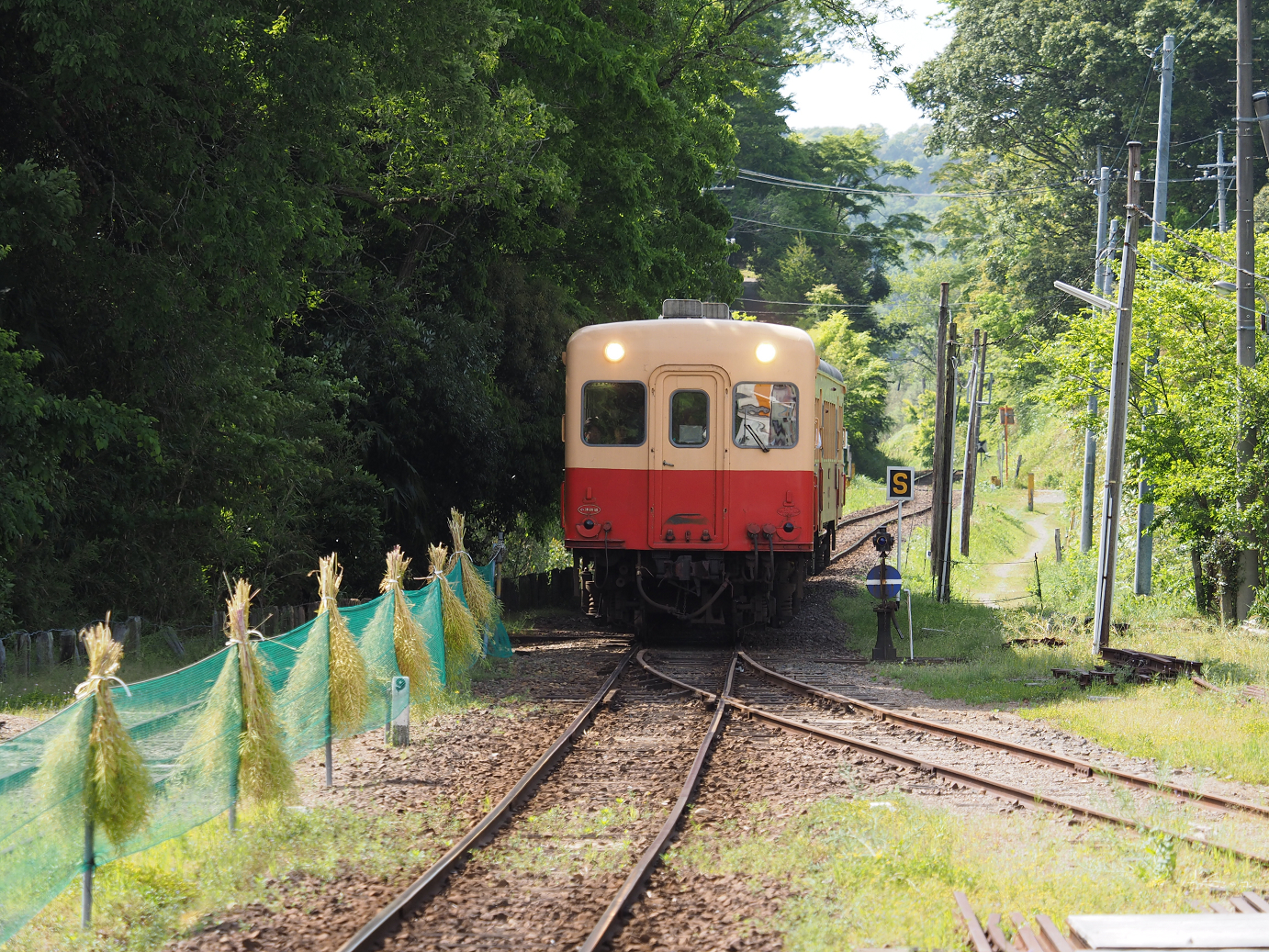 P5058430.jpg