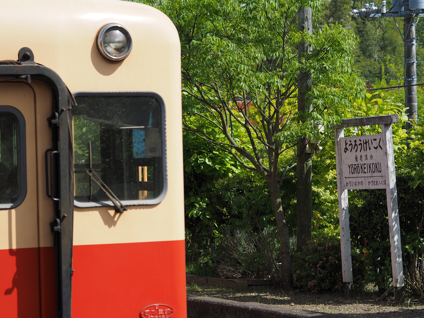 P5058441.jpg