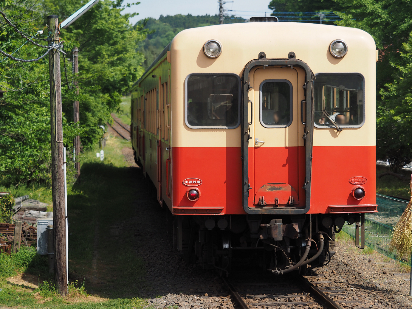 P5058448.jpg