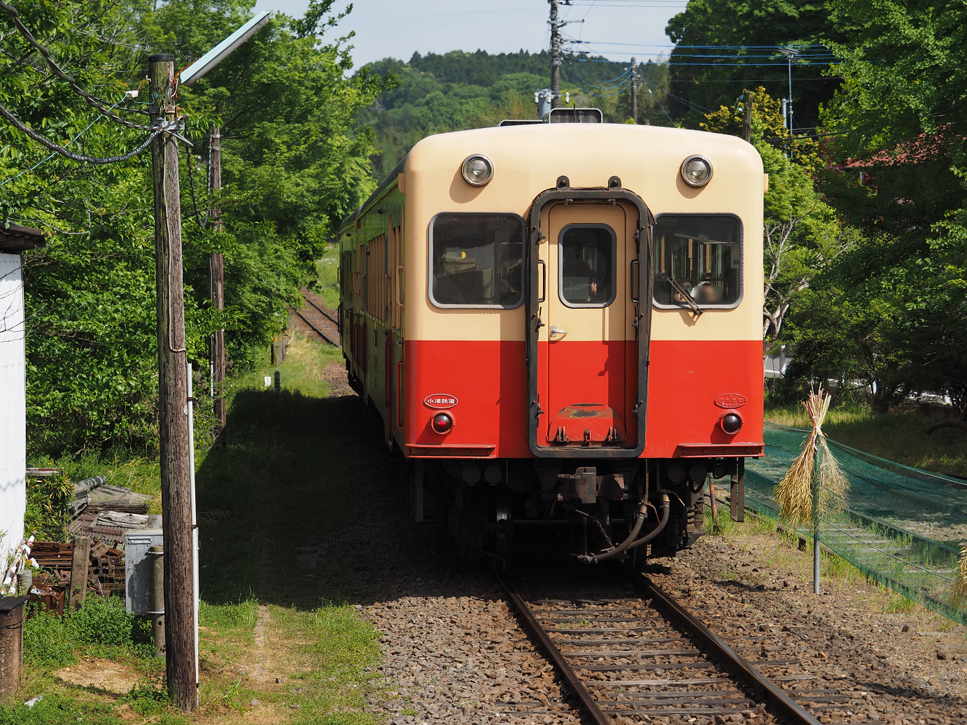 P5058449.jpg