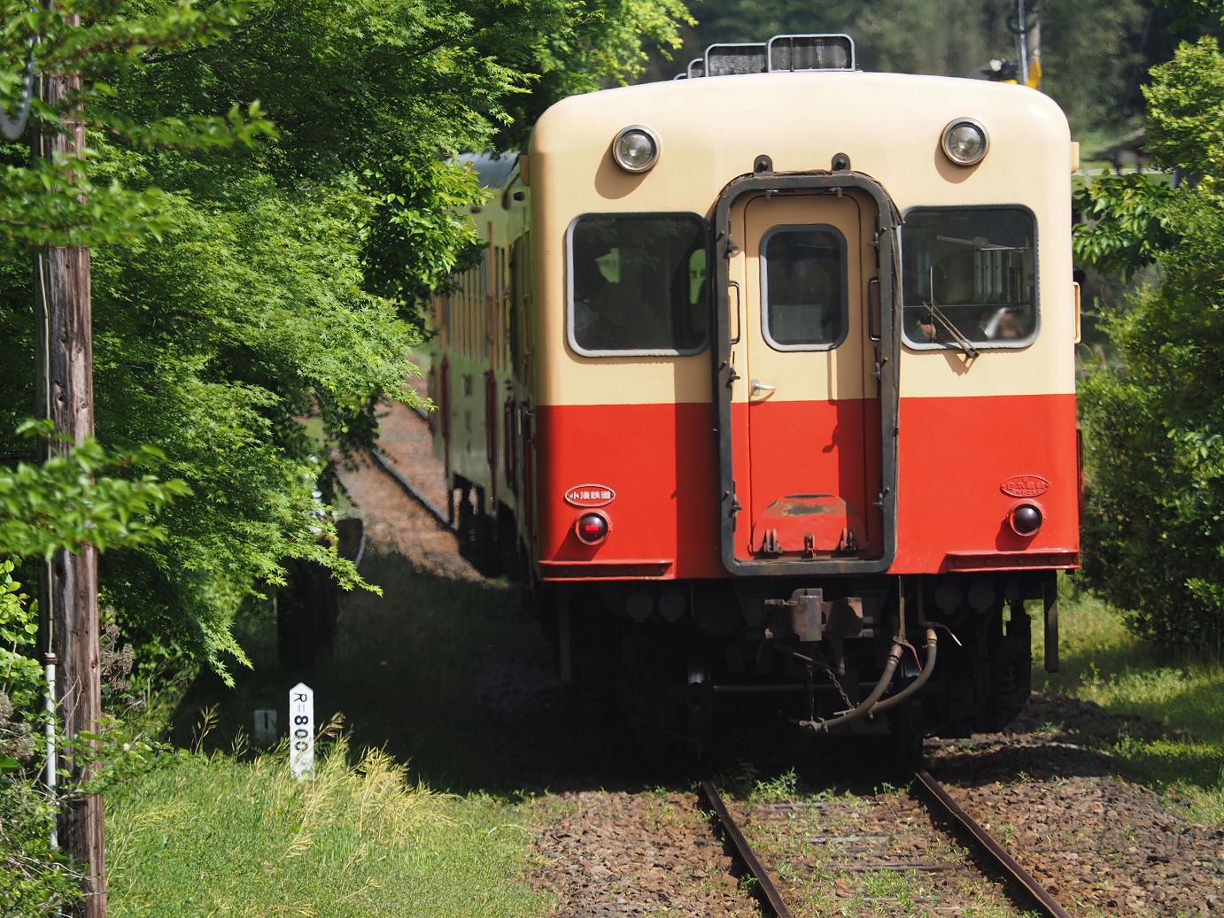 P5058451.jpg