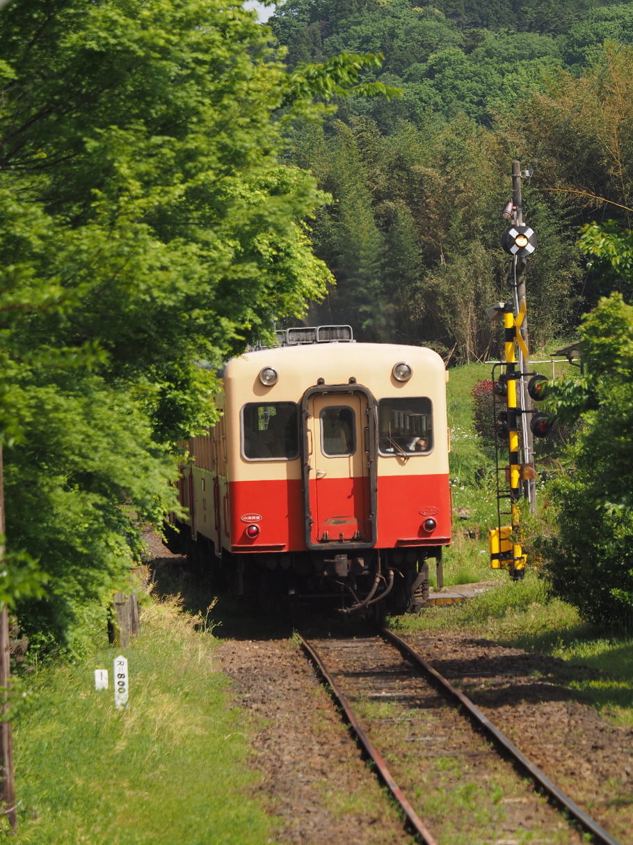 P5058452.jpg