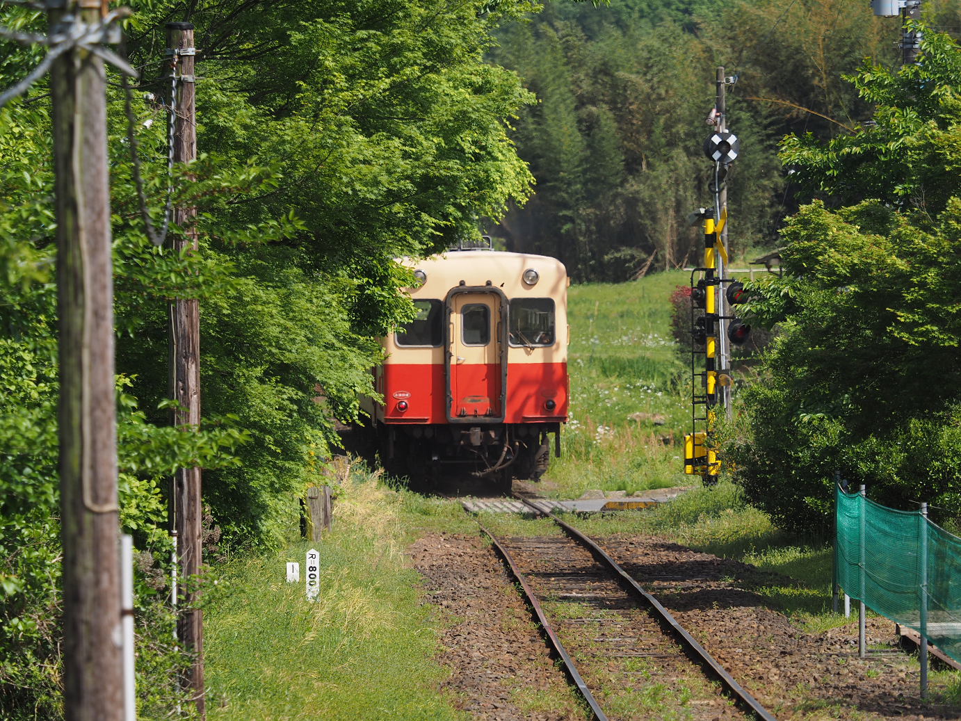 P5058453.jpg