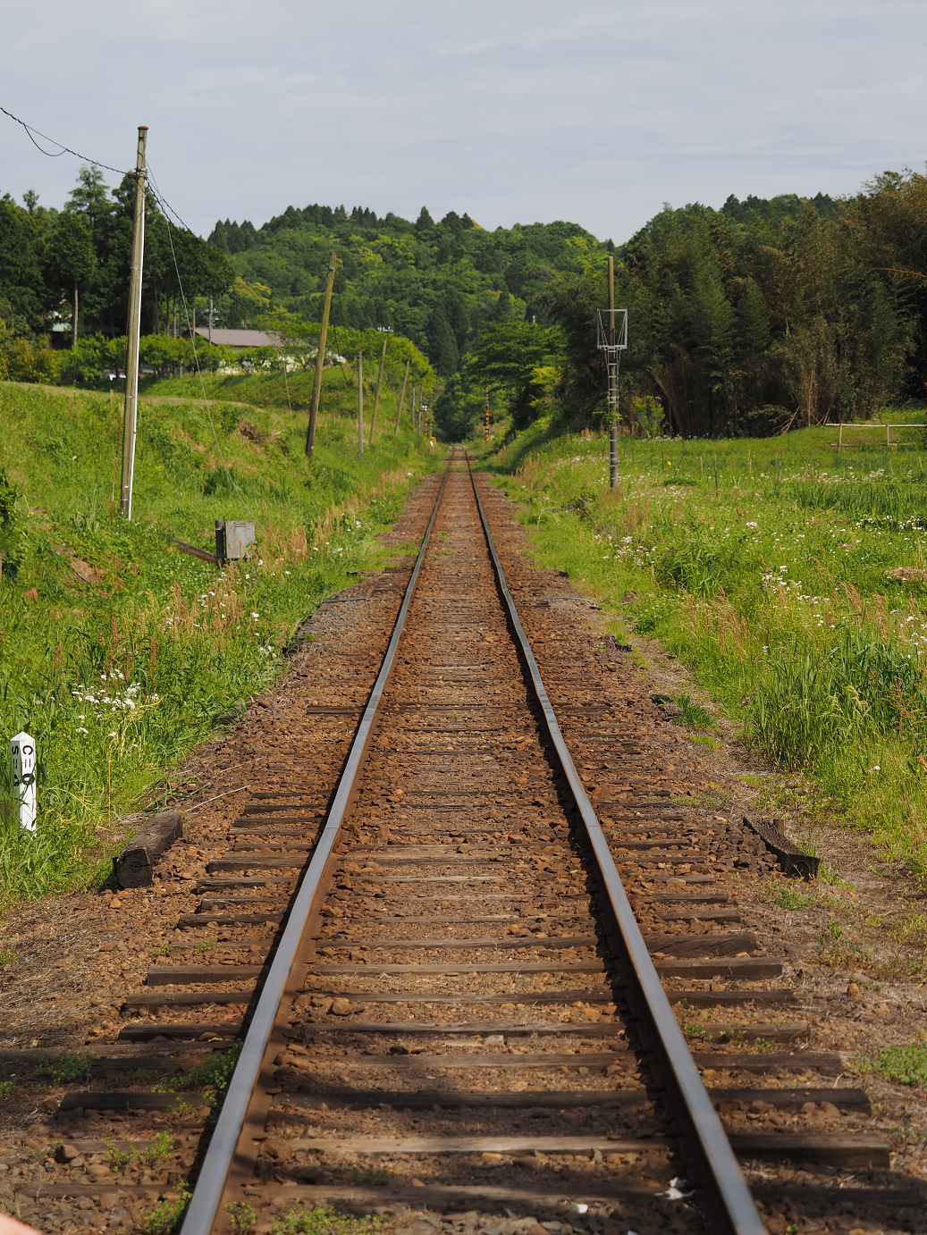 P5058458.jpg