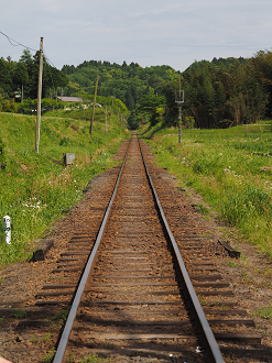 P5058458_thumb.png