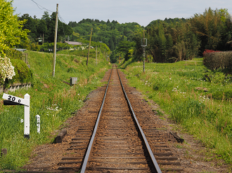 P5058461_thumb.png