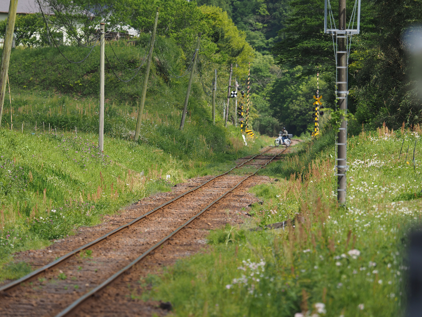 P5058465.jpg