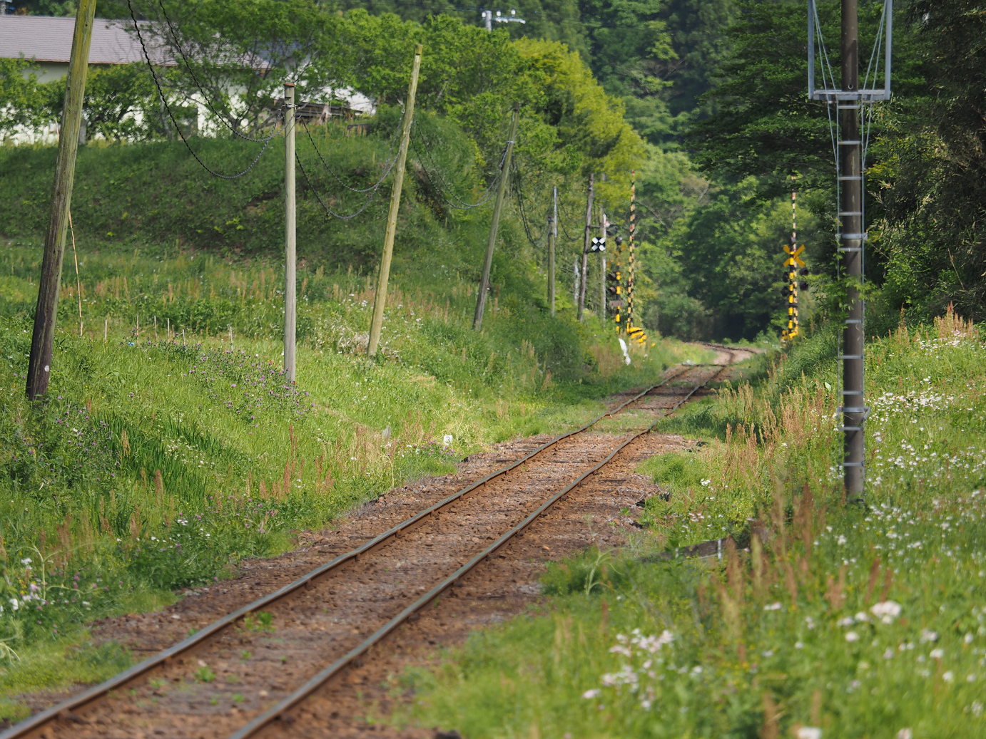 P5058466.jpg
